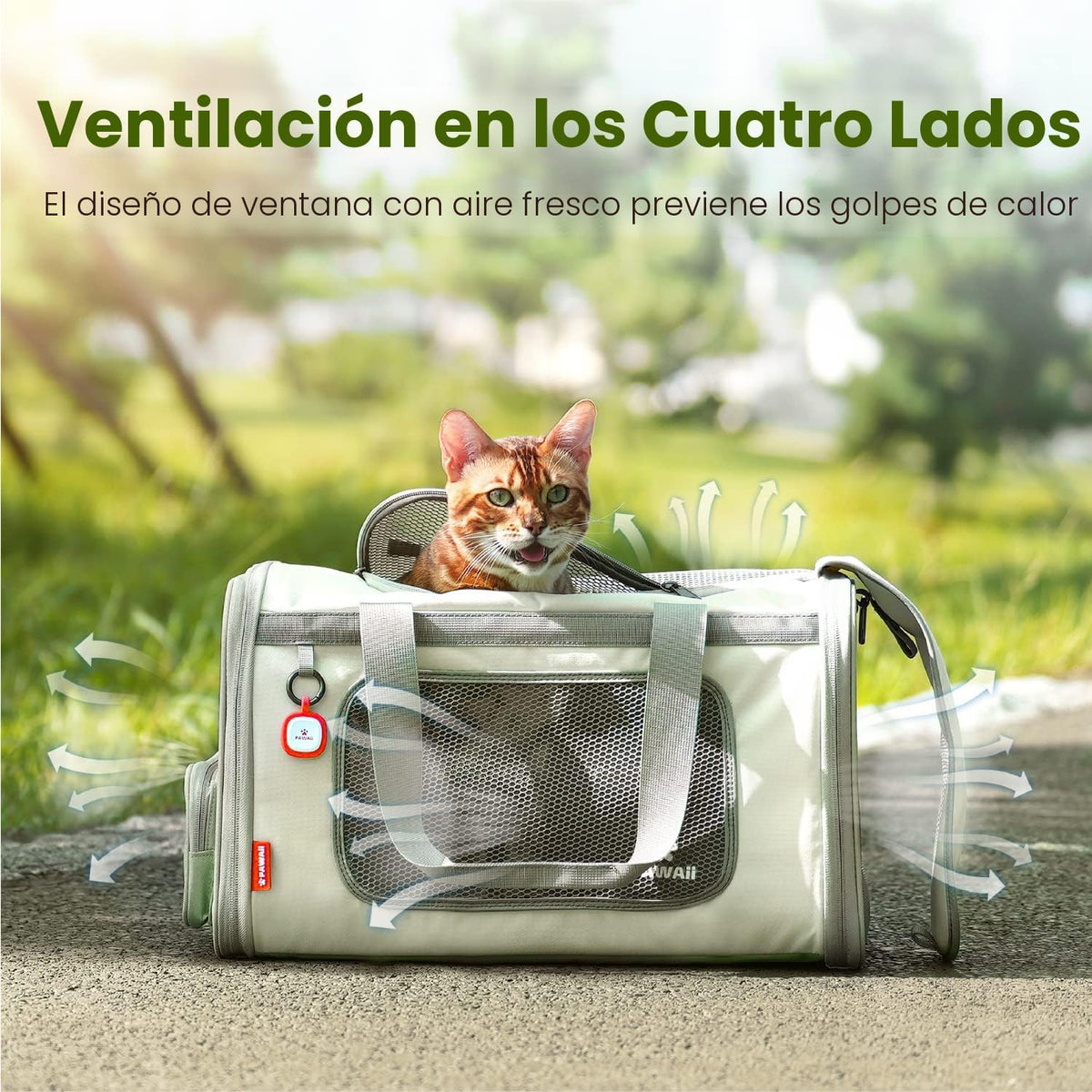 Pawaii Correa de seguridad transpirable expandible aprobada por aer...