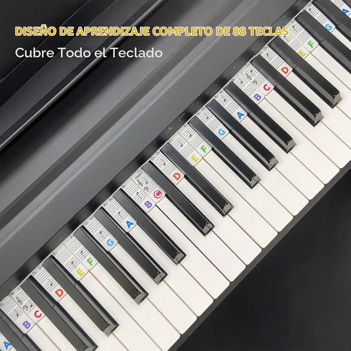 BEATBIT Guía de notas de piano para principiantes, extraíble, serie...