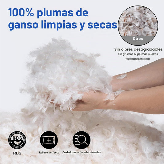 zibroges Juego de 2 almohadas de plumas tamaño Queen, almohada de p...