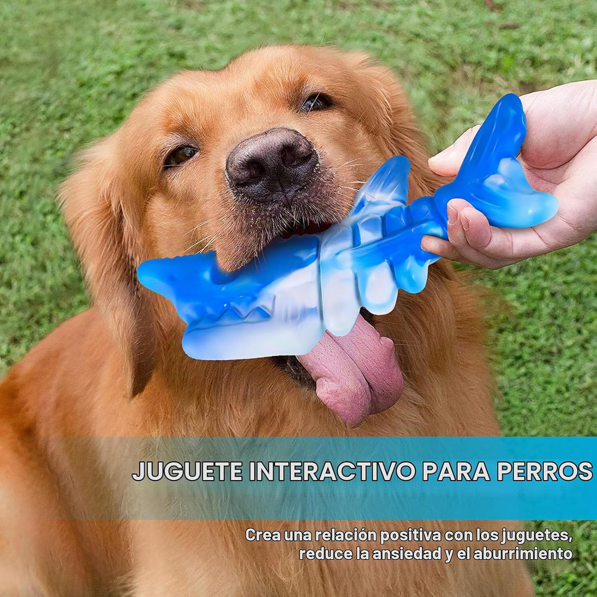 PETSTA - Juguetes para morder para perros masticadores agresivos, j...