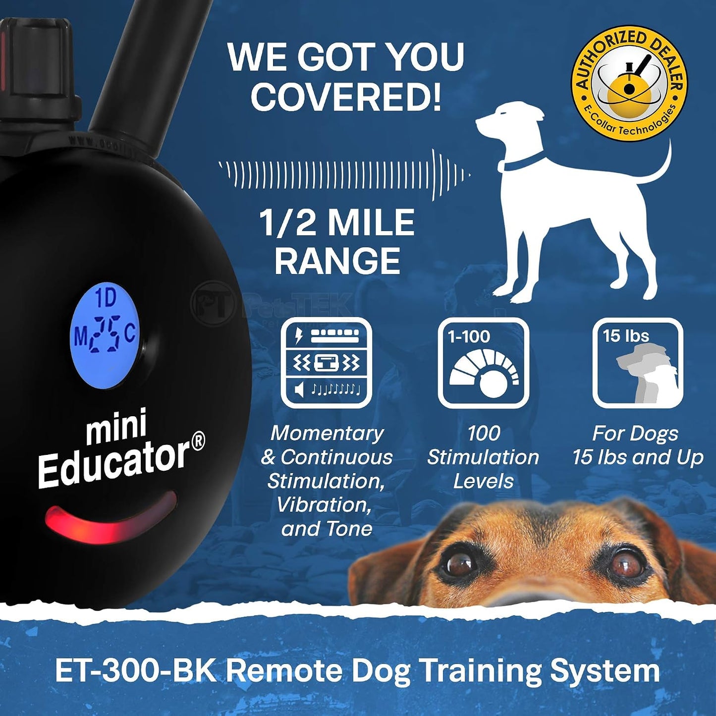 Educator ET-300 Mini Collar E negro para adiestramiento de perros c...