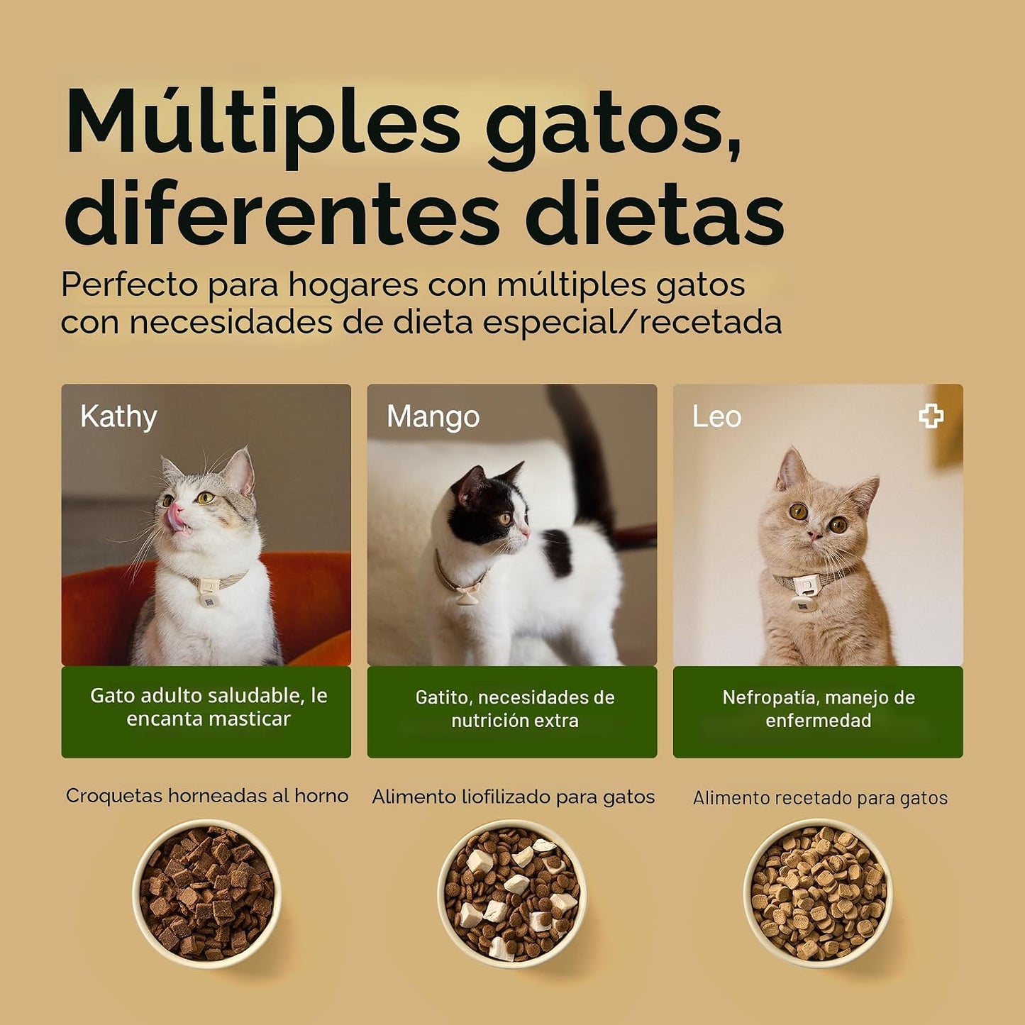 PETLIBRO Alimentador automático RFID para gatos, comidas personaliz...