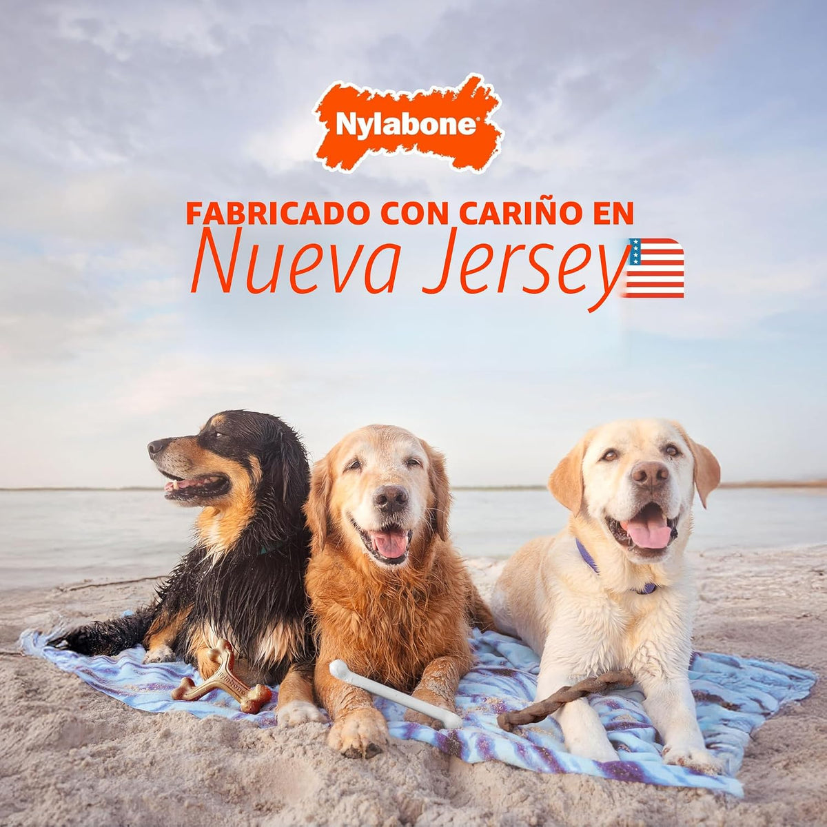 Nylabone Power Chew Customer Favorites - Juguetes masticables para...