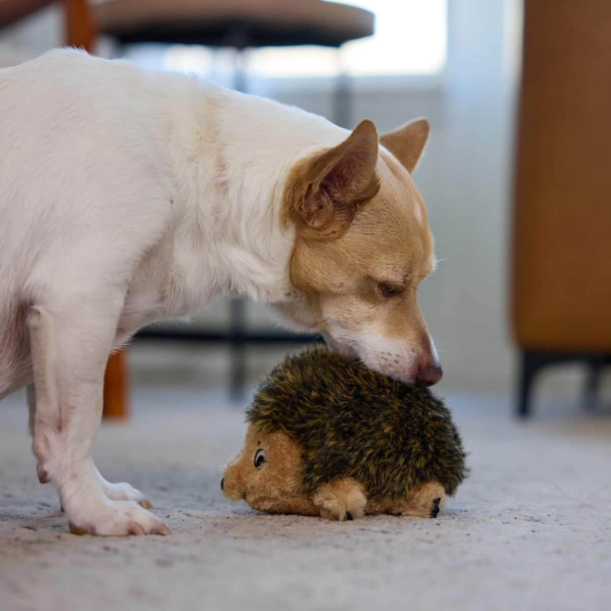 Outward Hound - Juguete de peluche Hedgehogz para perro, tamaño S |...