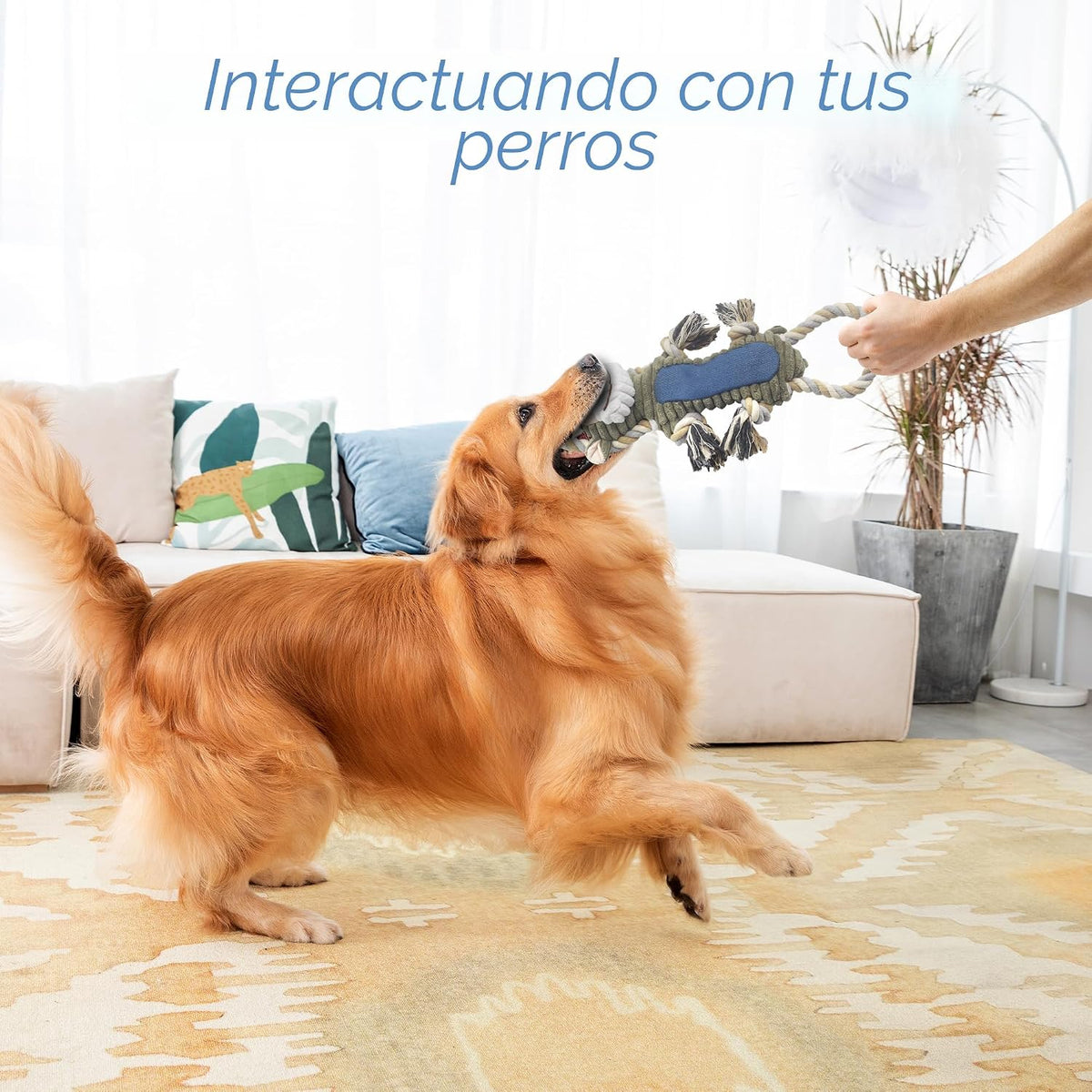 BUYPOW Juguetes de peluche divertidos para perros masticables, jugu...