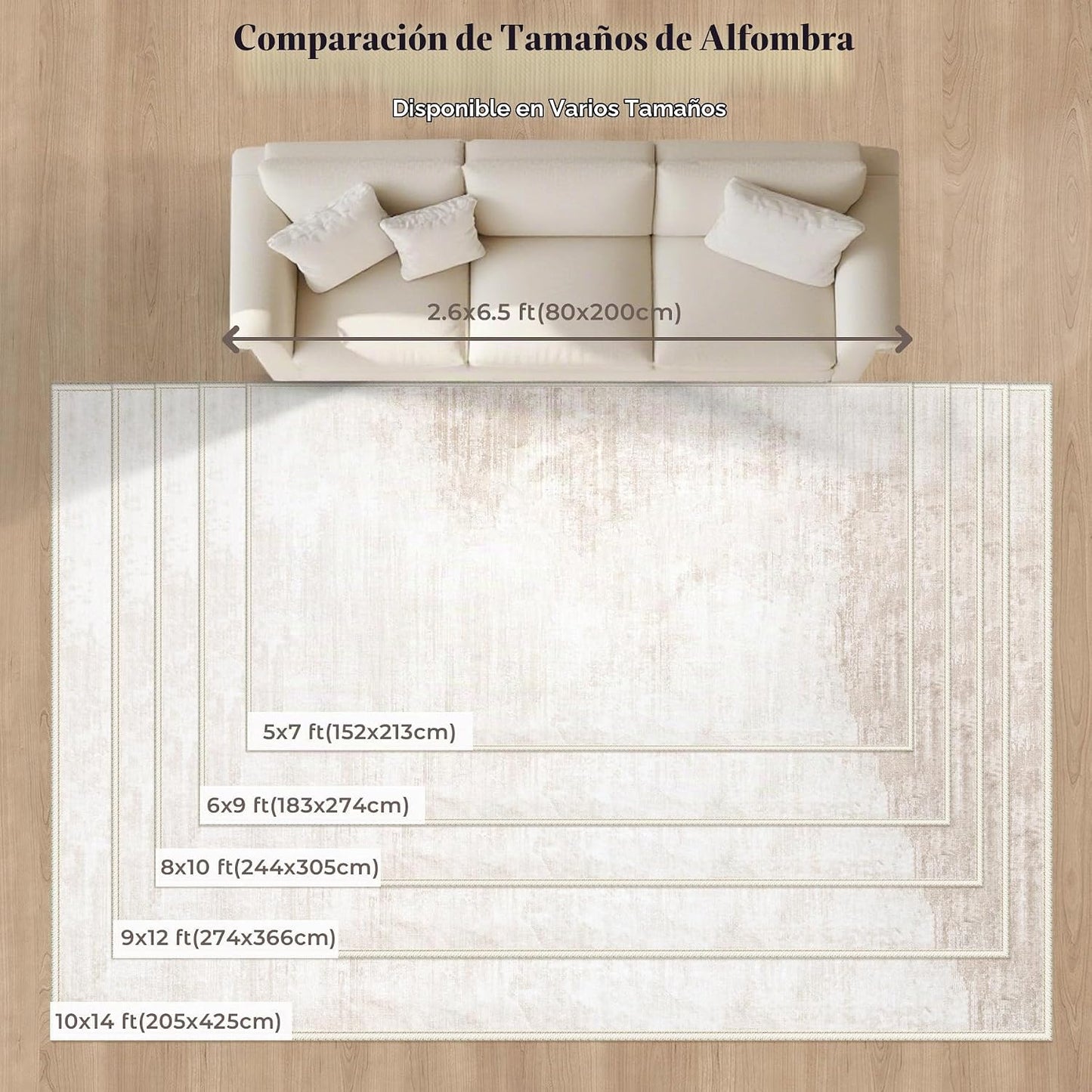 Alfombras de Área 6x9 para Sala de Estar: Alfombra Lavable Moderna...