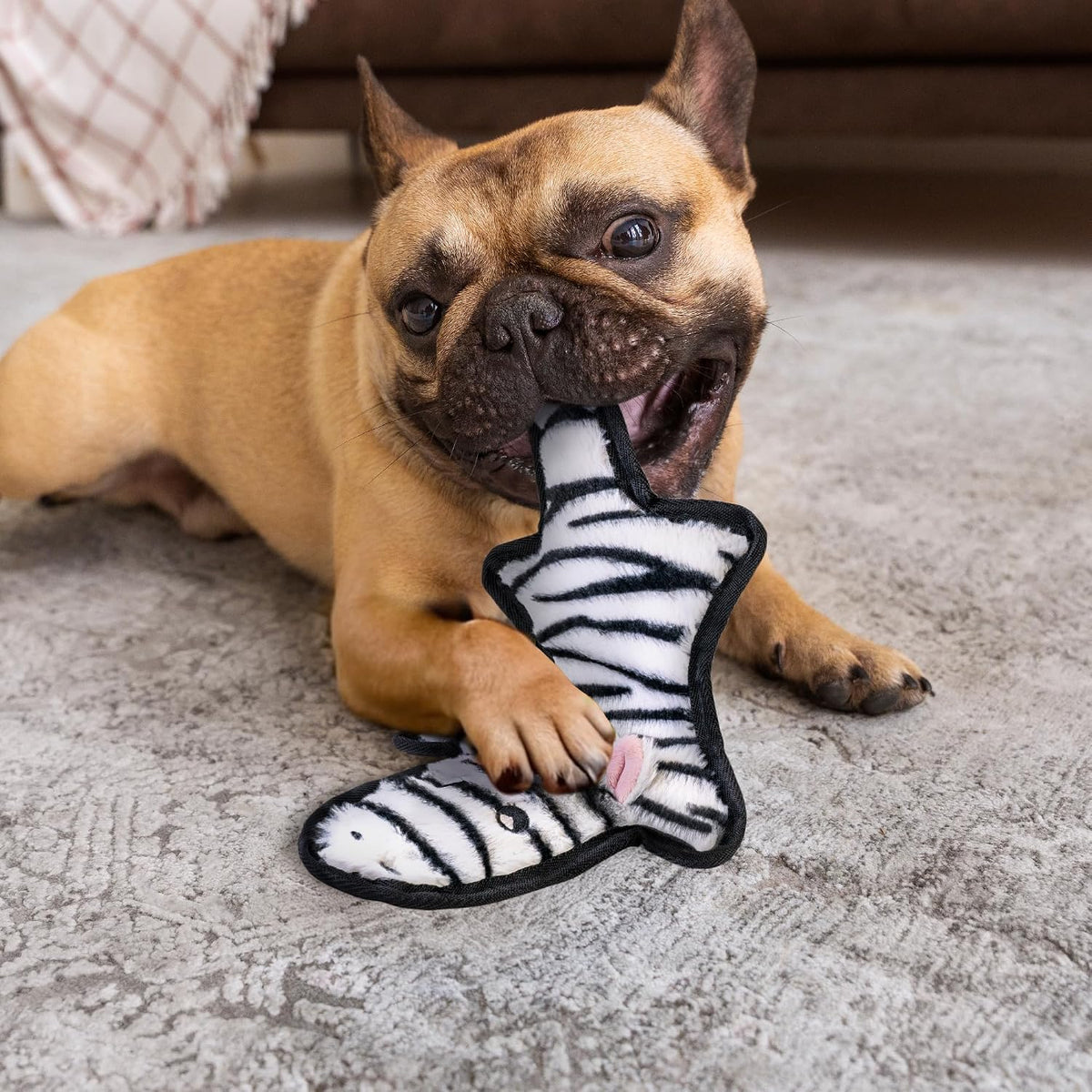 SHARLOVY - Juguetes para perros sin relleno crujientes y chillones,...