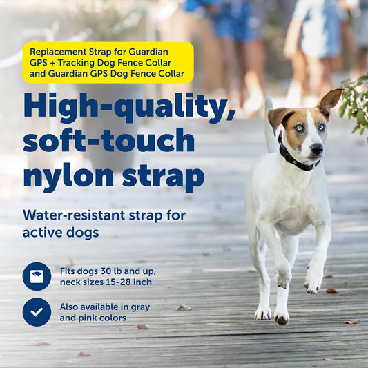 PetSafe Correa de repuesto para GPS Guardian + Tracking 1.0 y colla...