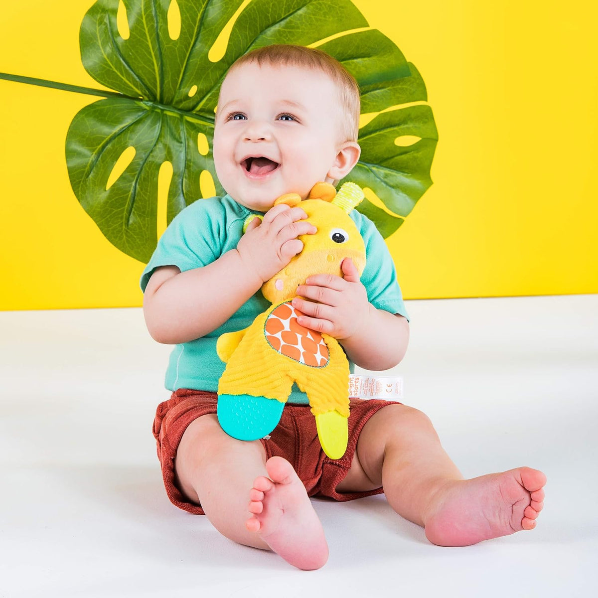 Bright Starts Snuggle &amp; Teethe - Juguete de peluche para dentic...