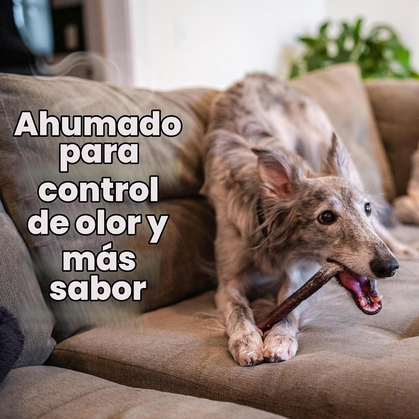 Pupford Palitos gruesos para perros y cachorros, ahumados para mejo...