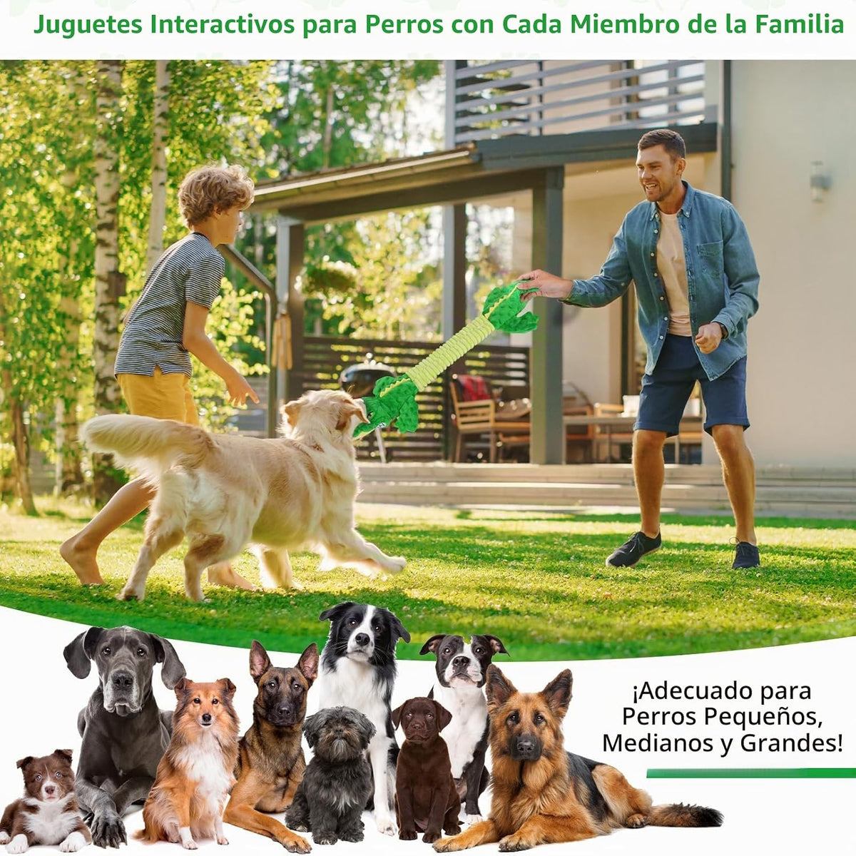 Letsmeet Juguetes Grandes de Cocodrilo Chirriante para Perros, Jugu...