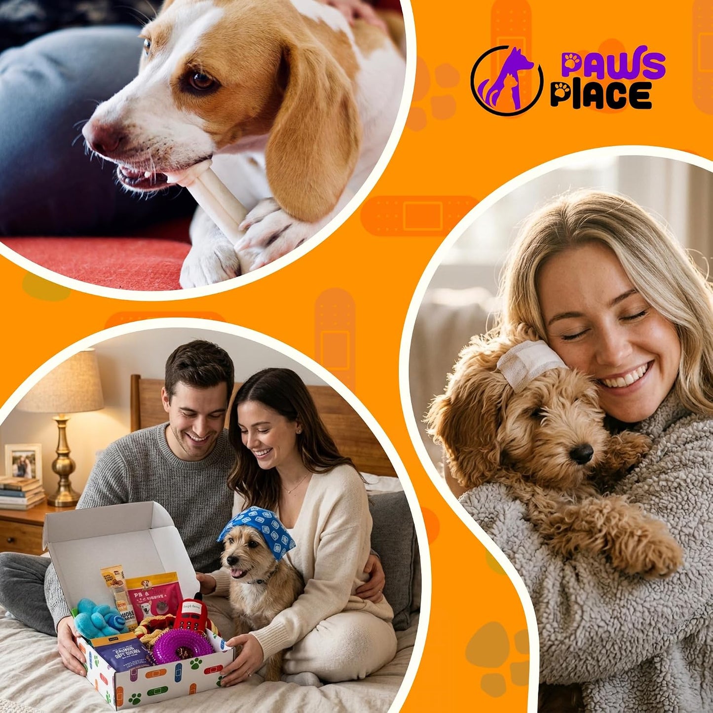 Get Well Soon Regalos para perros, paquete de cuidado de perros, ce...