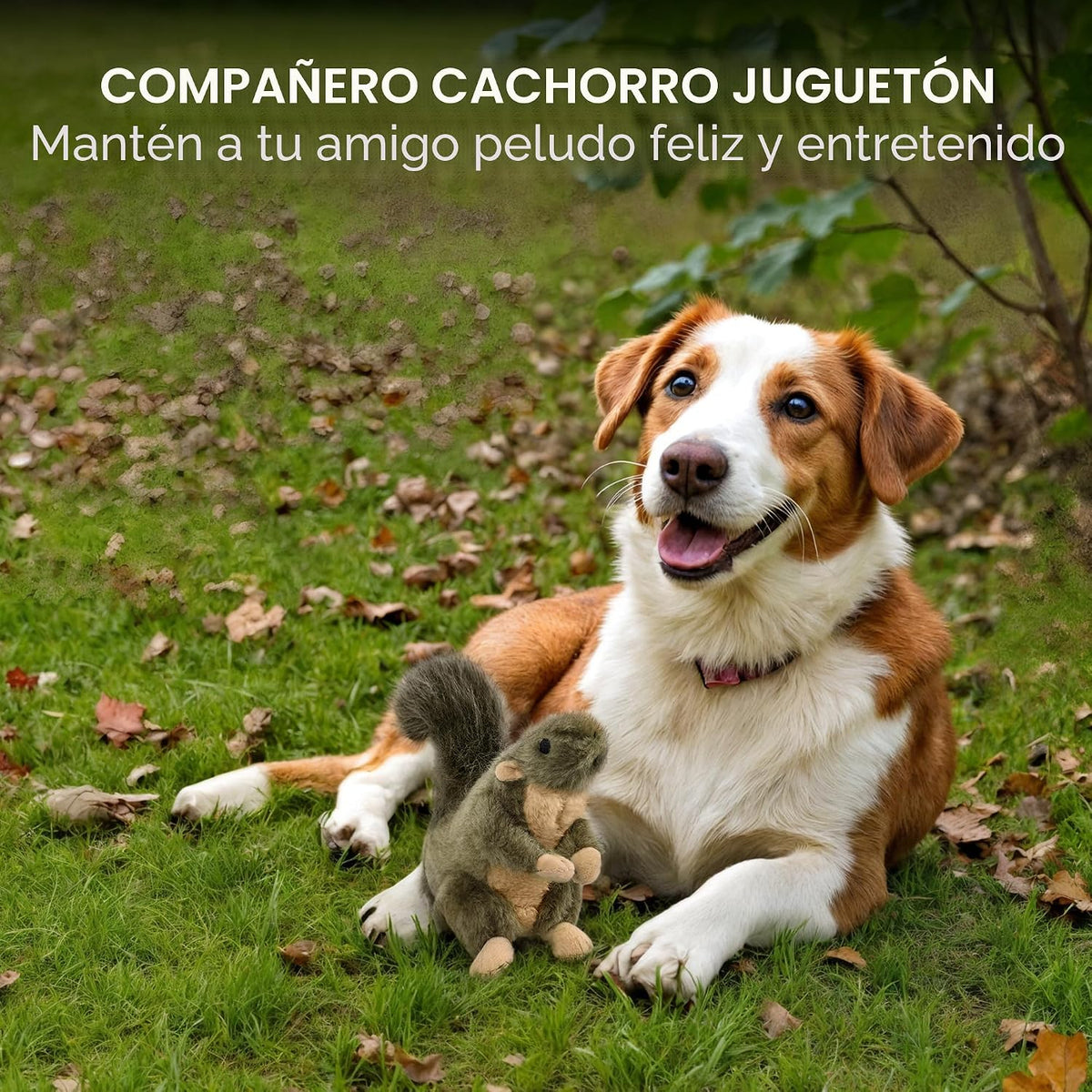 ALL FOR PAWS Juguetes clásicos para mascotas de ardilla, pequeños