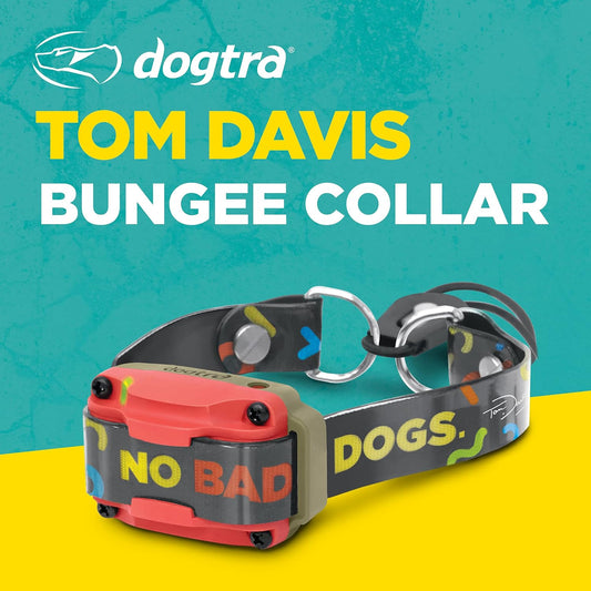 Dogtra Tom Davis Collar Bungee Cómodo de fácil ajuste Compatible co...