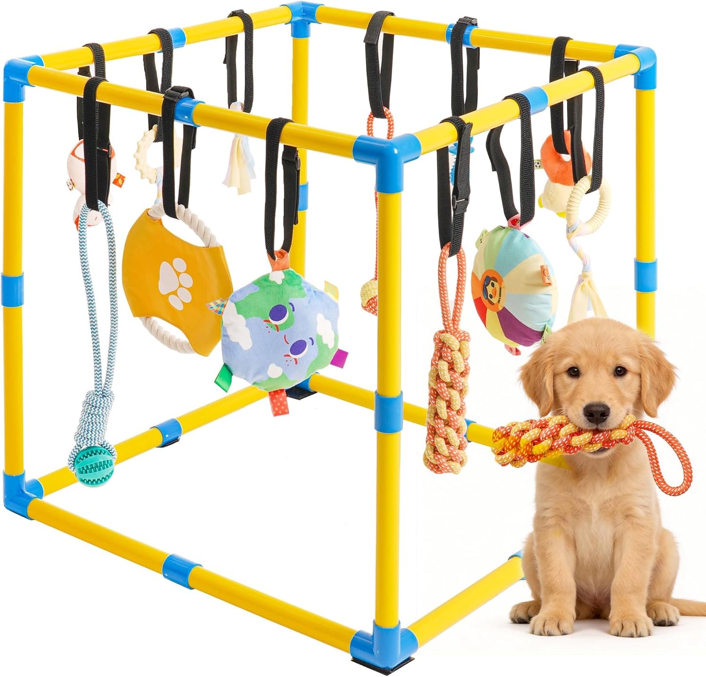 Grevigily Gimnasio de juego para cachorros para perros pequeños, 23...
