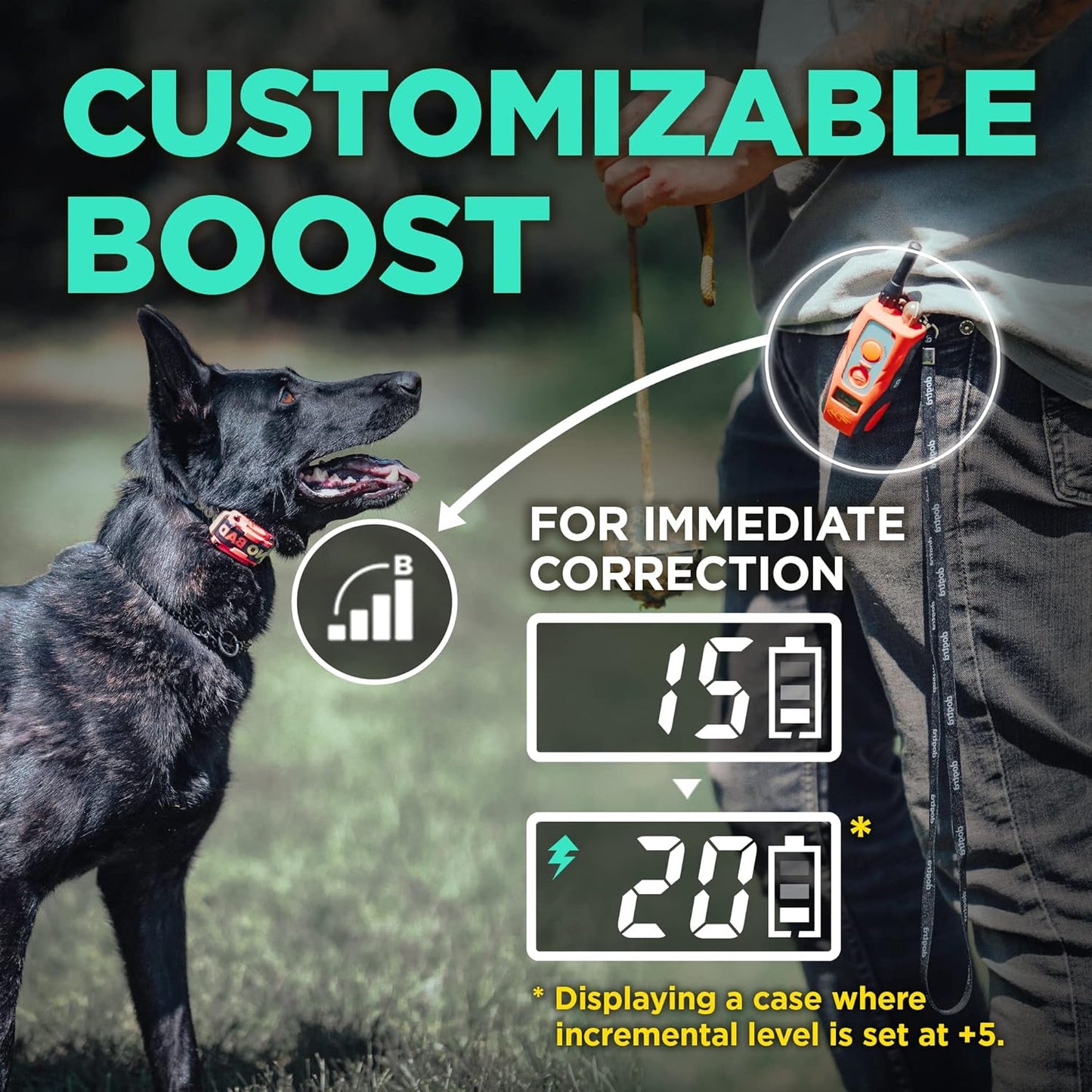 Dogtra E-Collar Tom Davis 280C Boost &amp; Lock, Collar de entrenam...