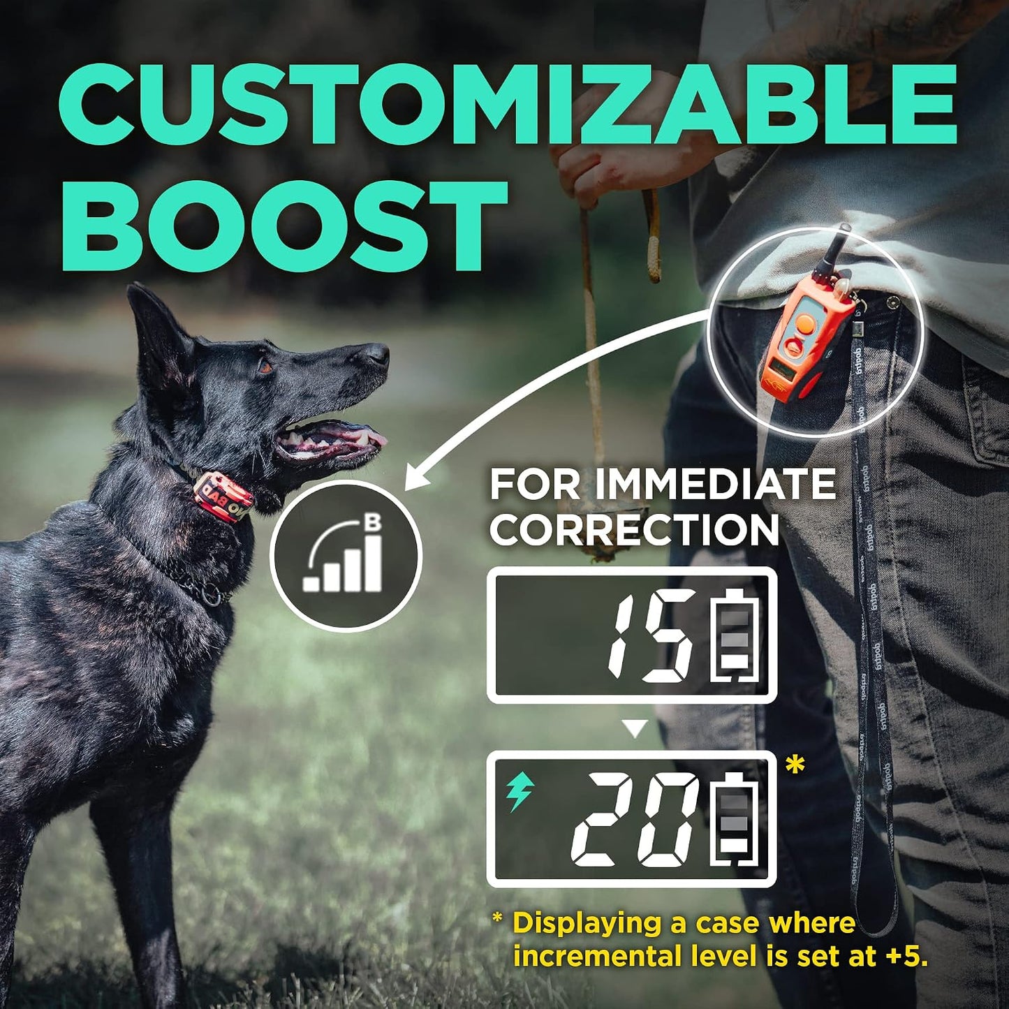 Dogtra E-Collar Tom Davis 280C Boost &amp; Lock, Collar de entrenam...