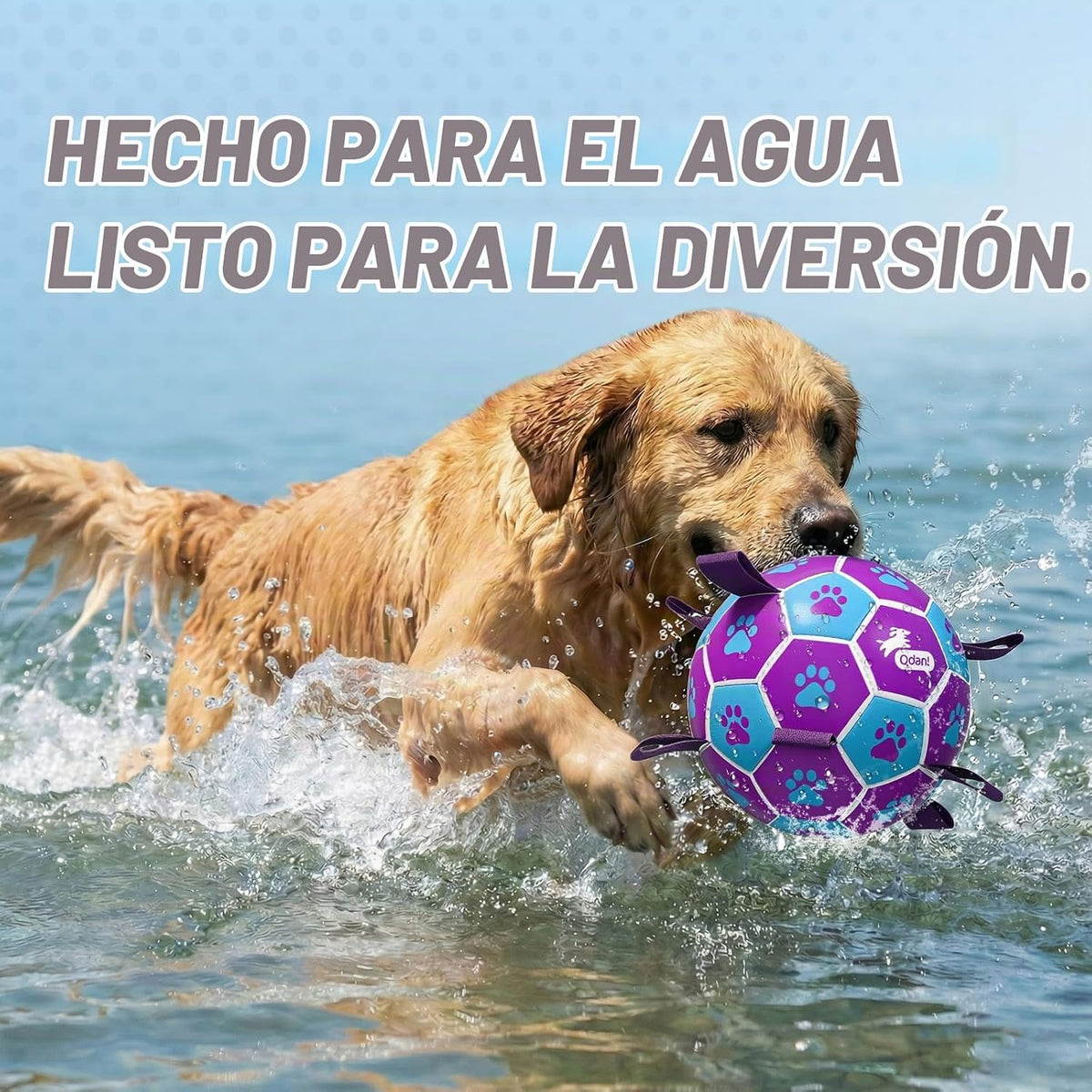 QDAN Juguetes de cuerdas para perros, pelota de fútbol con correas...