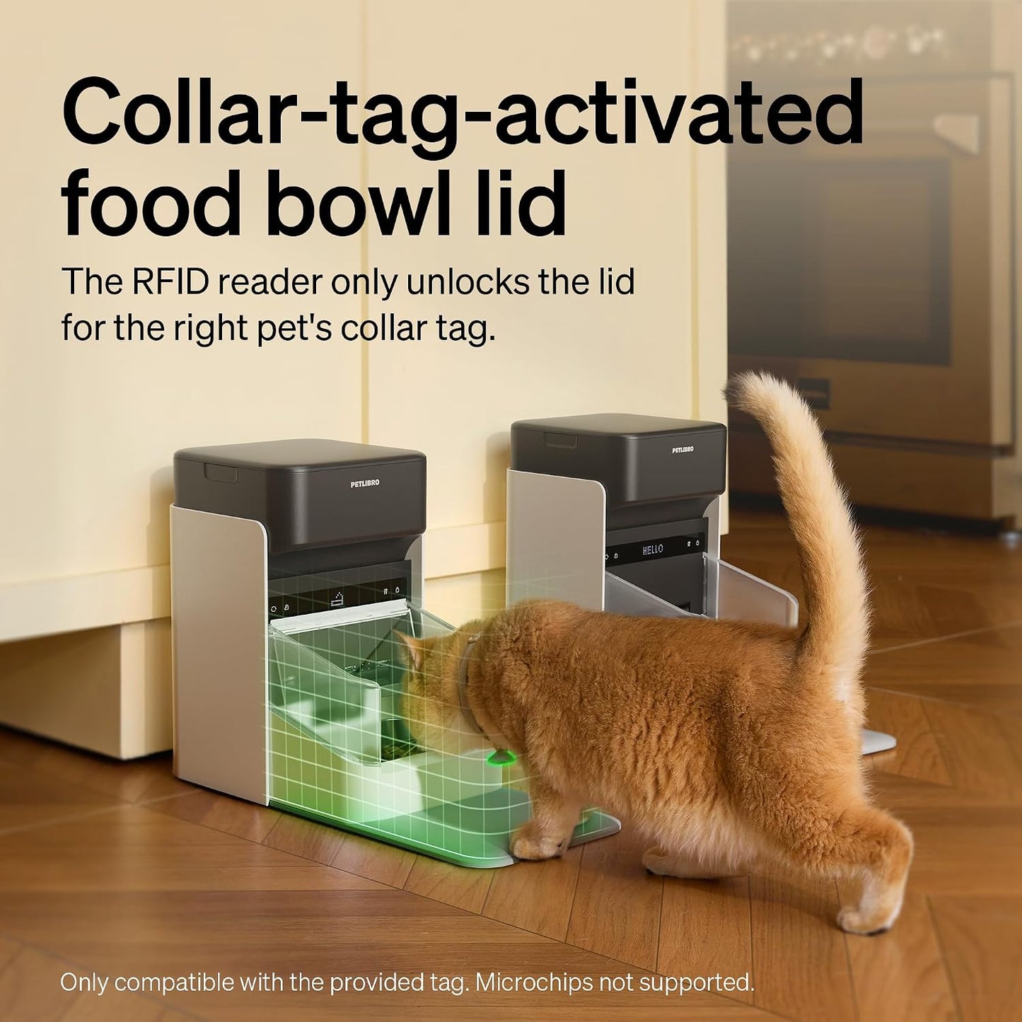 PETLIBRO Alimentador automático RFID para gatos, comidas personaliz...