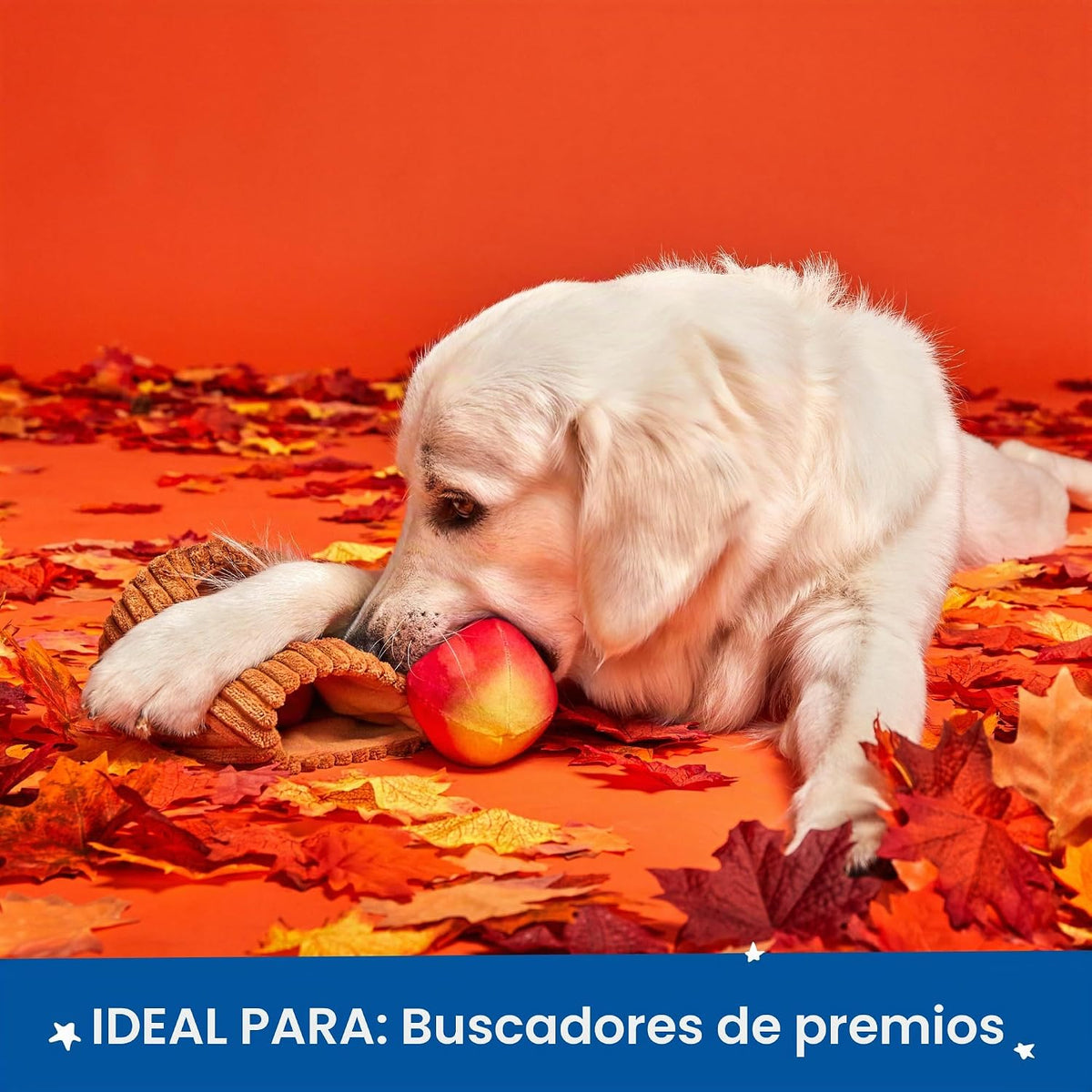 BarkBox Them Apples Juguete de peluche interactivo 3 en 1 para perr...