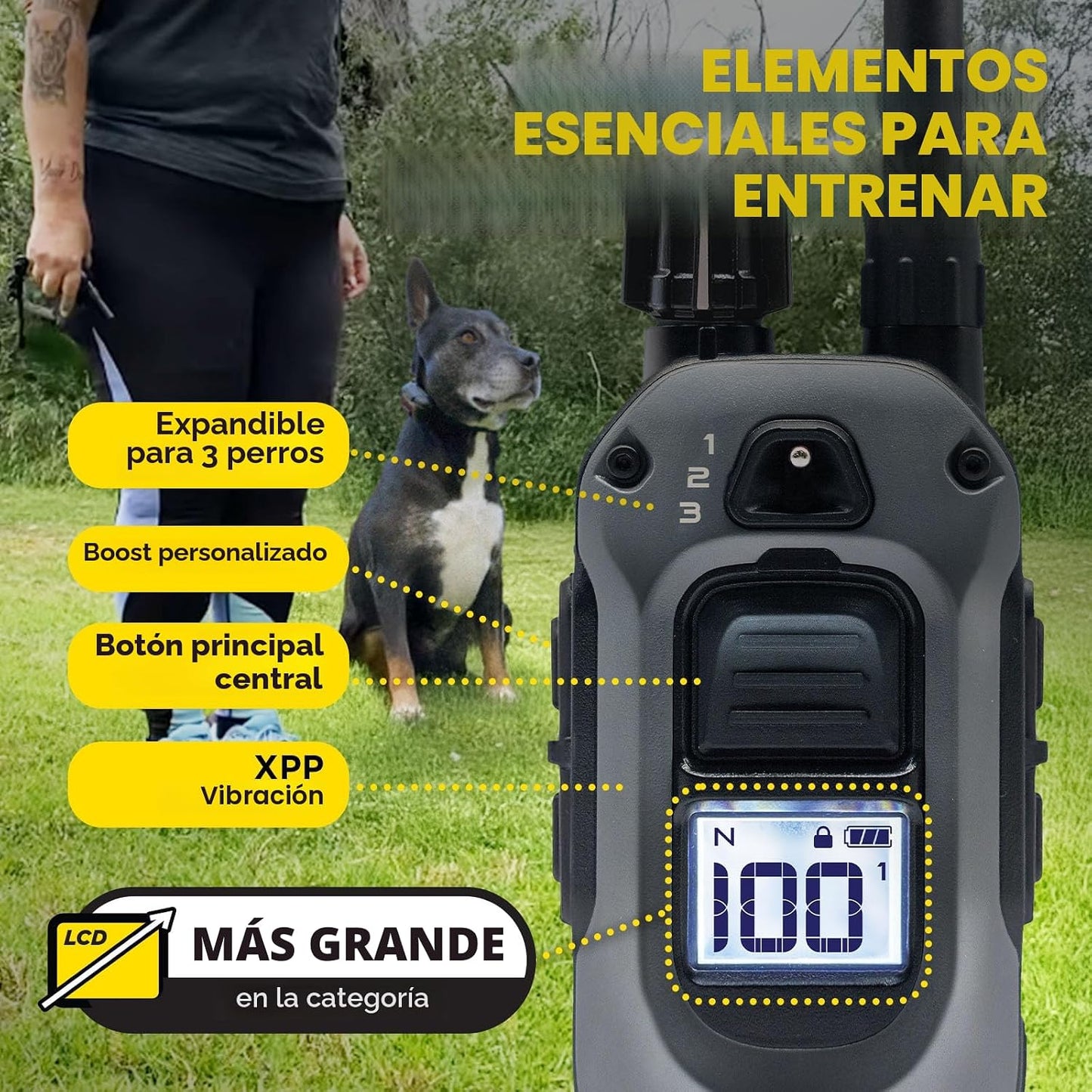 Dogtra Collar de Entrenamiento 280X con Control Remoto [Nueva Edici...