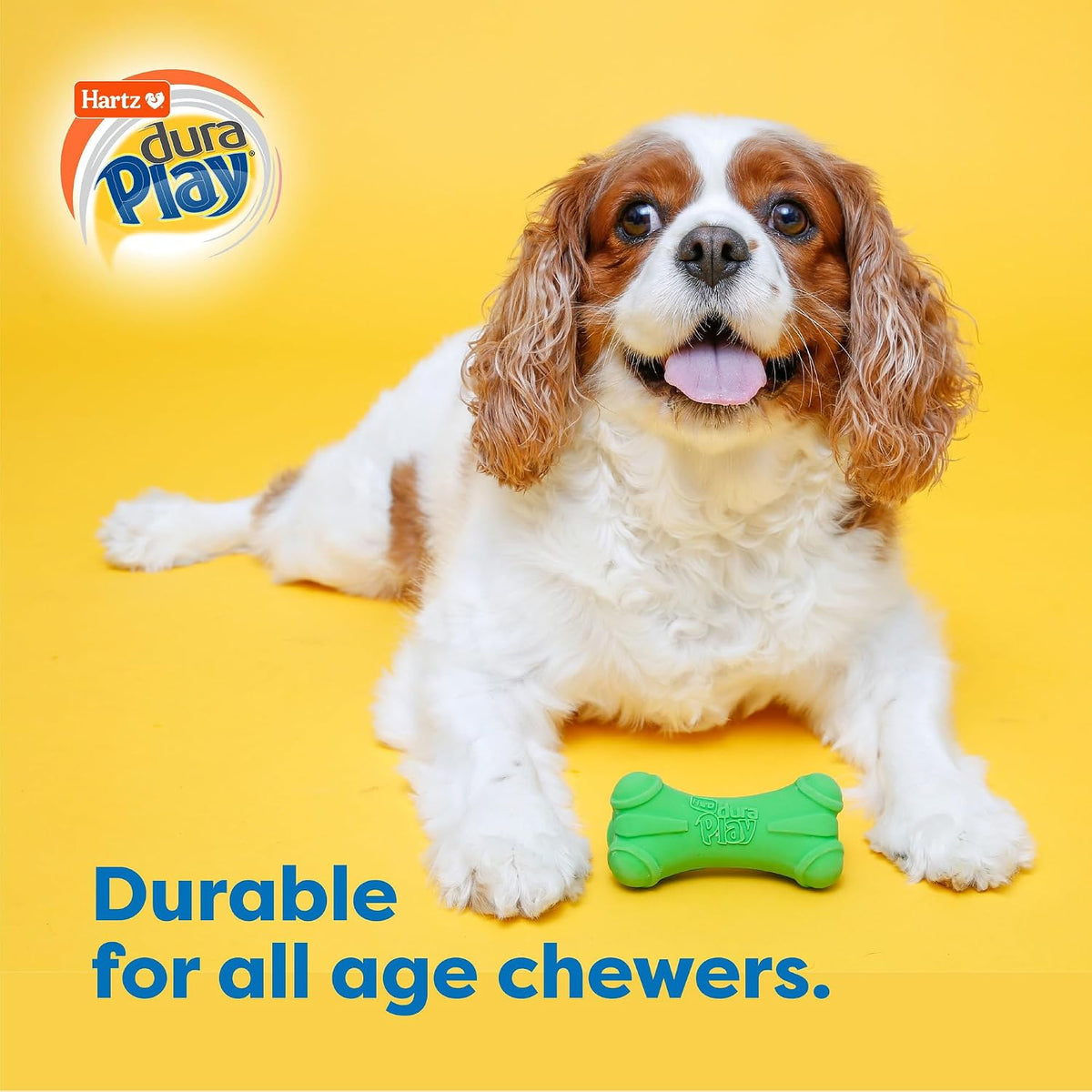 Hartz DuraPlay Hueso Juguete de Látex Chirriante para Perros de Raz...