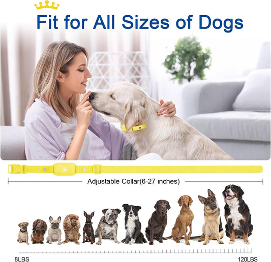 Bousnic Collar de choque para perros para 2 perros \u2013 (8-120 li...
