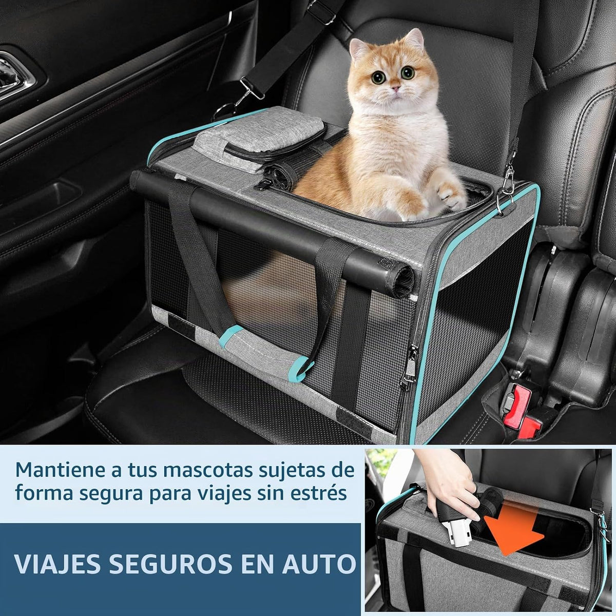 GAPZER Transportín para Gatos Aprobado por Aerolíneas American, Uni...