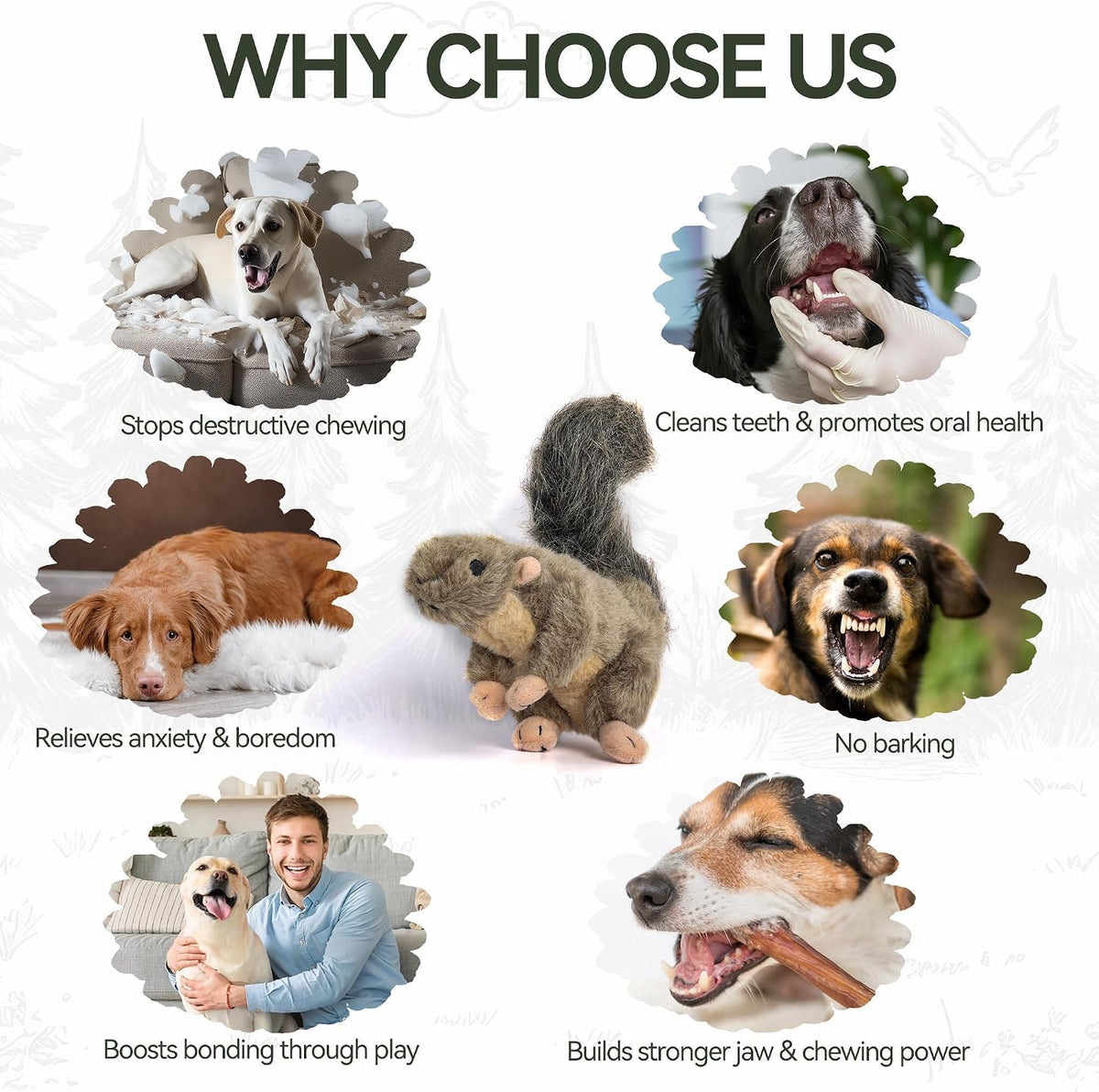ALL FOR PAWS Juguetes clásicos para mascotas de ardilla, pequeños