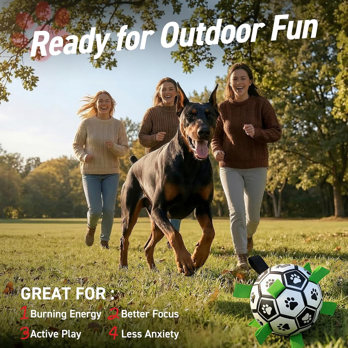 QDAN Balón de fútbol para perros Gaint de 10 pulgadas con correas,...