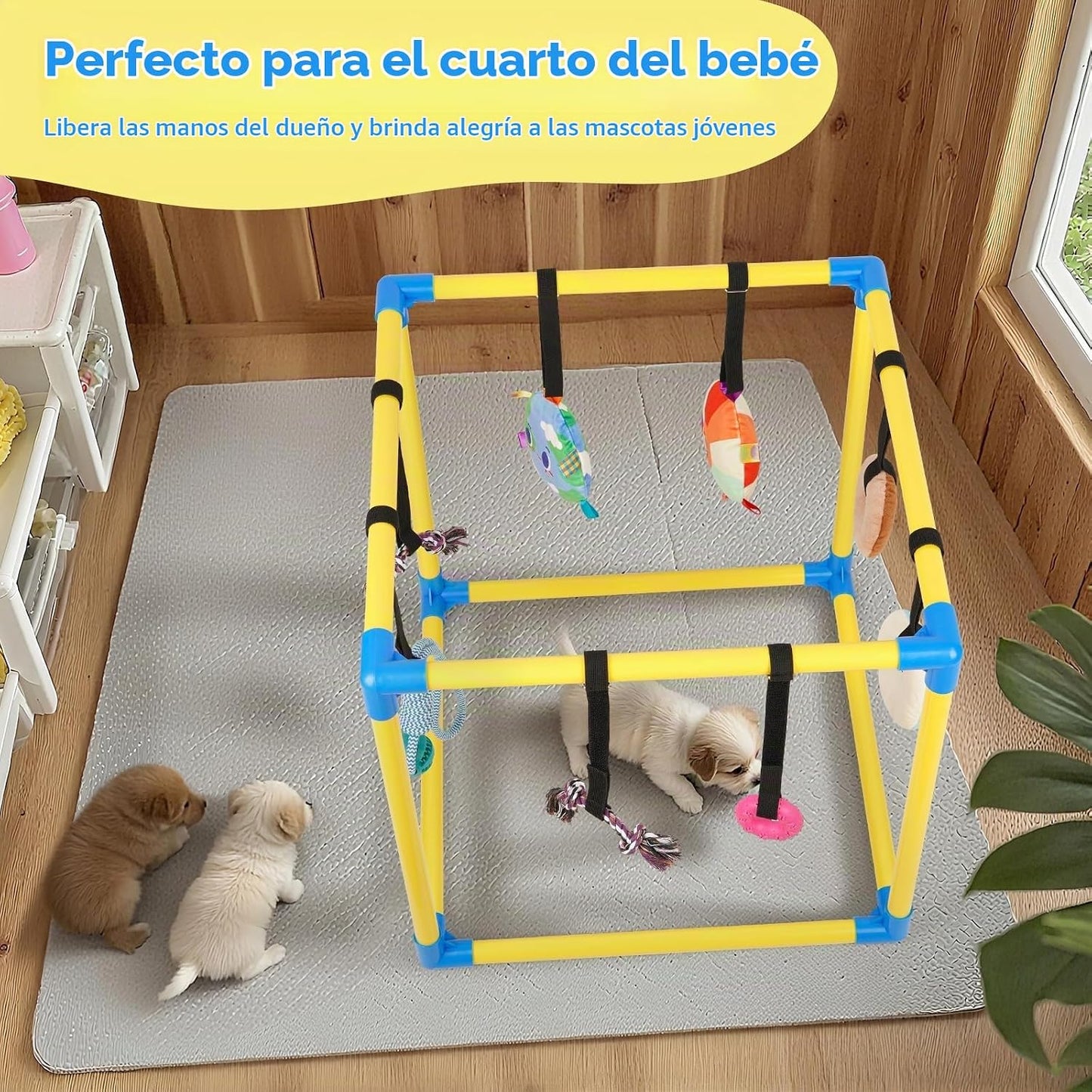 Liitrton Gimnasio de juego para cachorros \u2013 Gimnasio de juego...