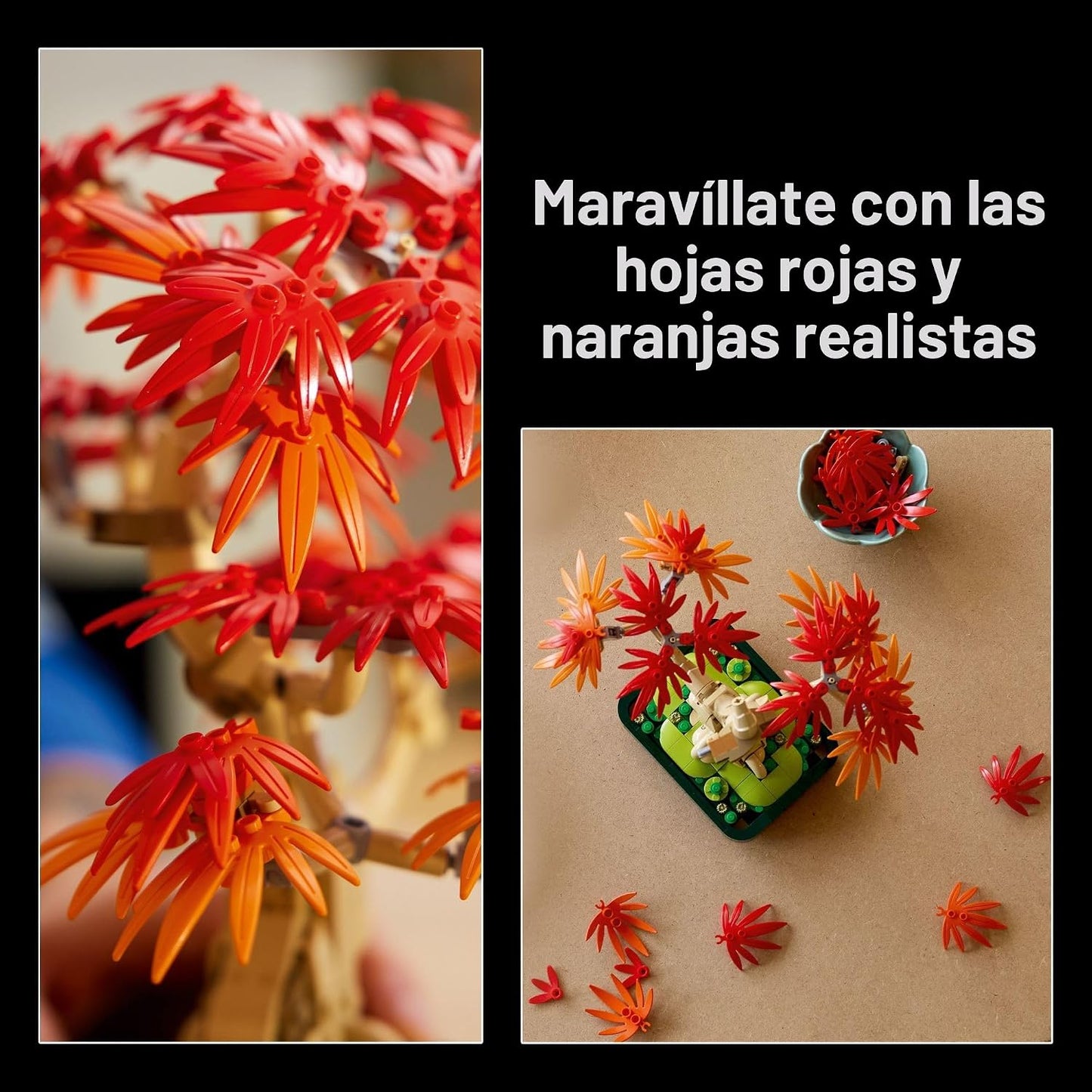 LEGO Botanicals 10348 - Kit de construcción de árbol bonsái de arce...
