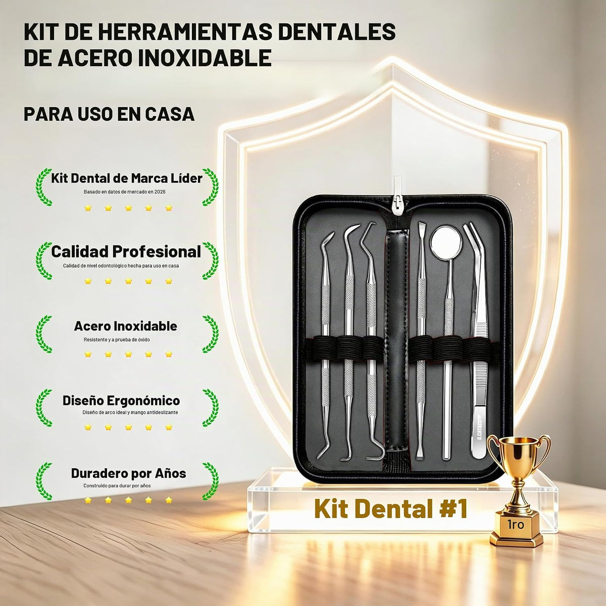 G.CATACC Herramientas dentales, juego de herramientas de higiene pa...