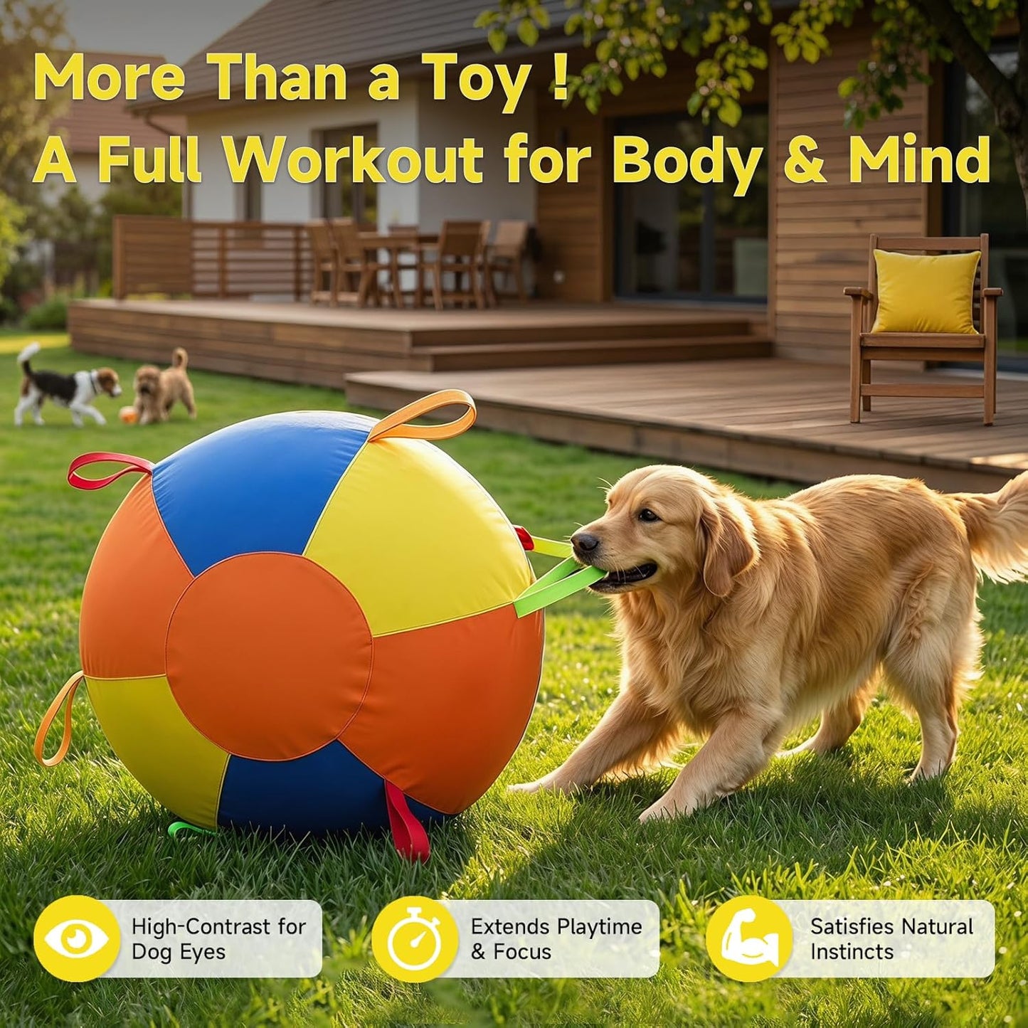 Pelota de pastoreo para perros, pelota inflable para perros para ju...