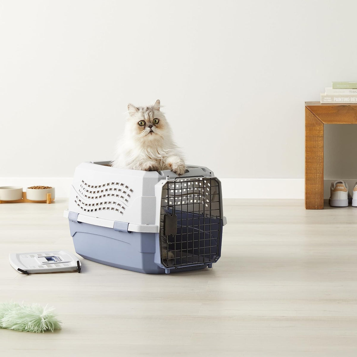Amazon Basics Transportador de viaje duro para perros, gatos y masc...