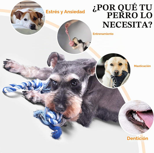 Fida Juguetes de cuerda para perros, paquete de 4 juguetes de algod...