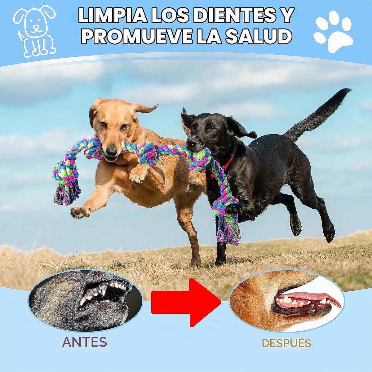 Aitmexcn Juguetes de cuerda para perros grandes, 37 pulgadas 5 nudo...