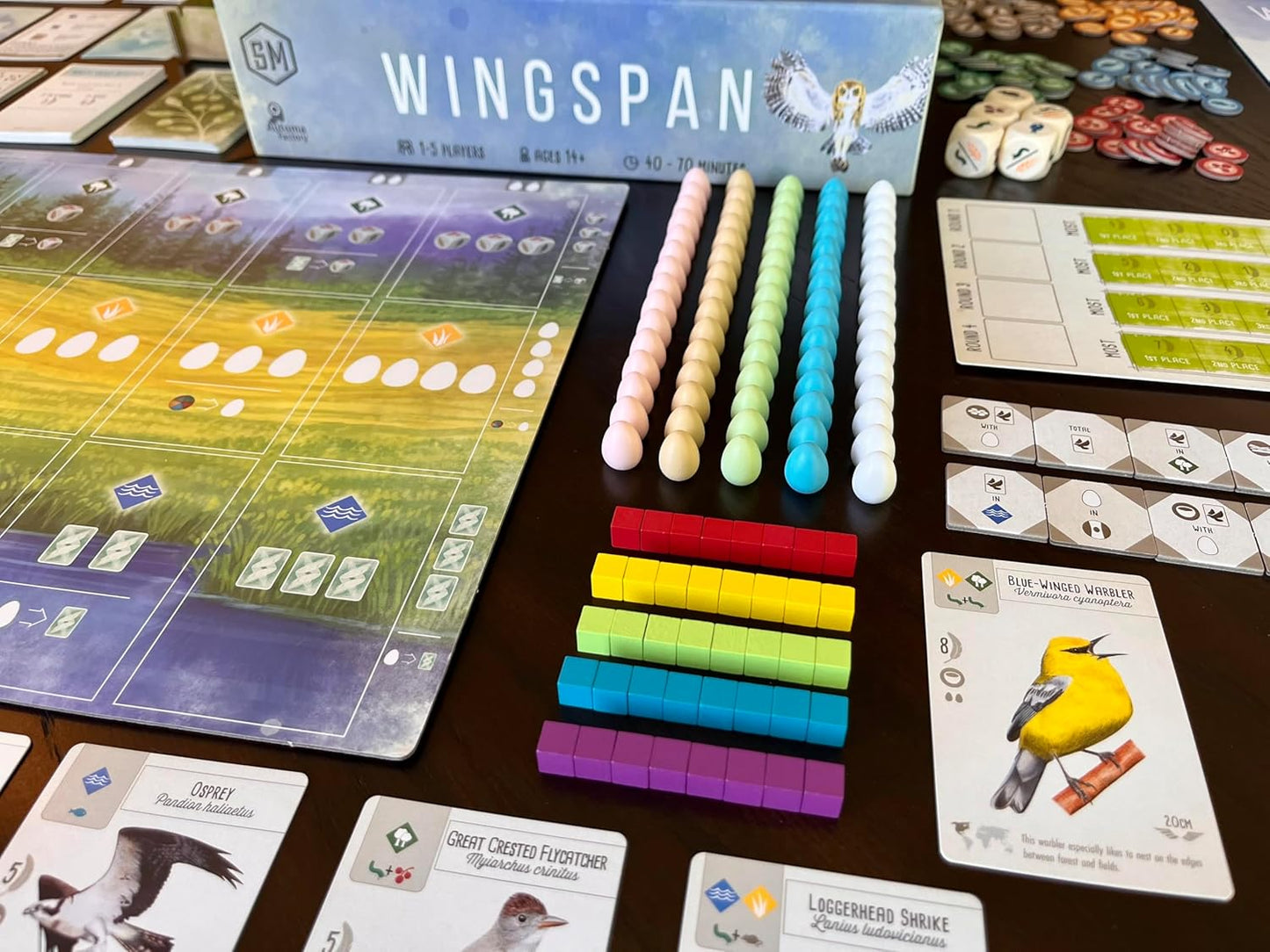 Stonemaier Games: Wingspan (Juego Base) de Elizabeth Hargrave | Un...