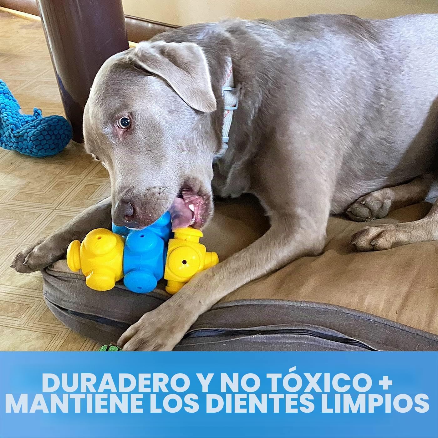 Juguetes de rompecabezas para perros inteligentes, interactivos, ro...
