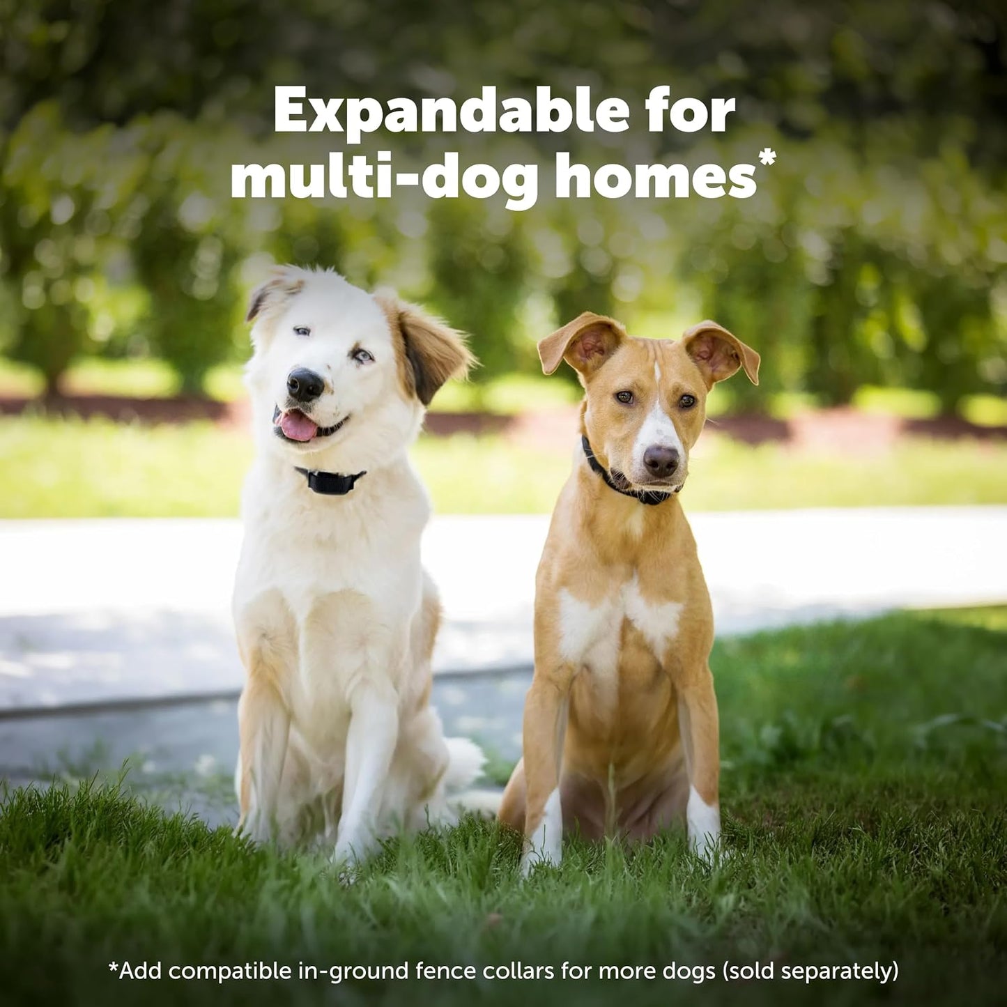 PetSafe YardMax - Cerca recargable en tierra para perros y gatos -...