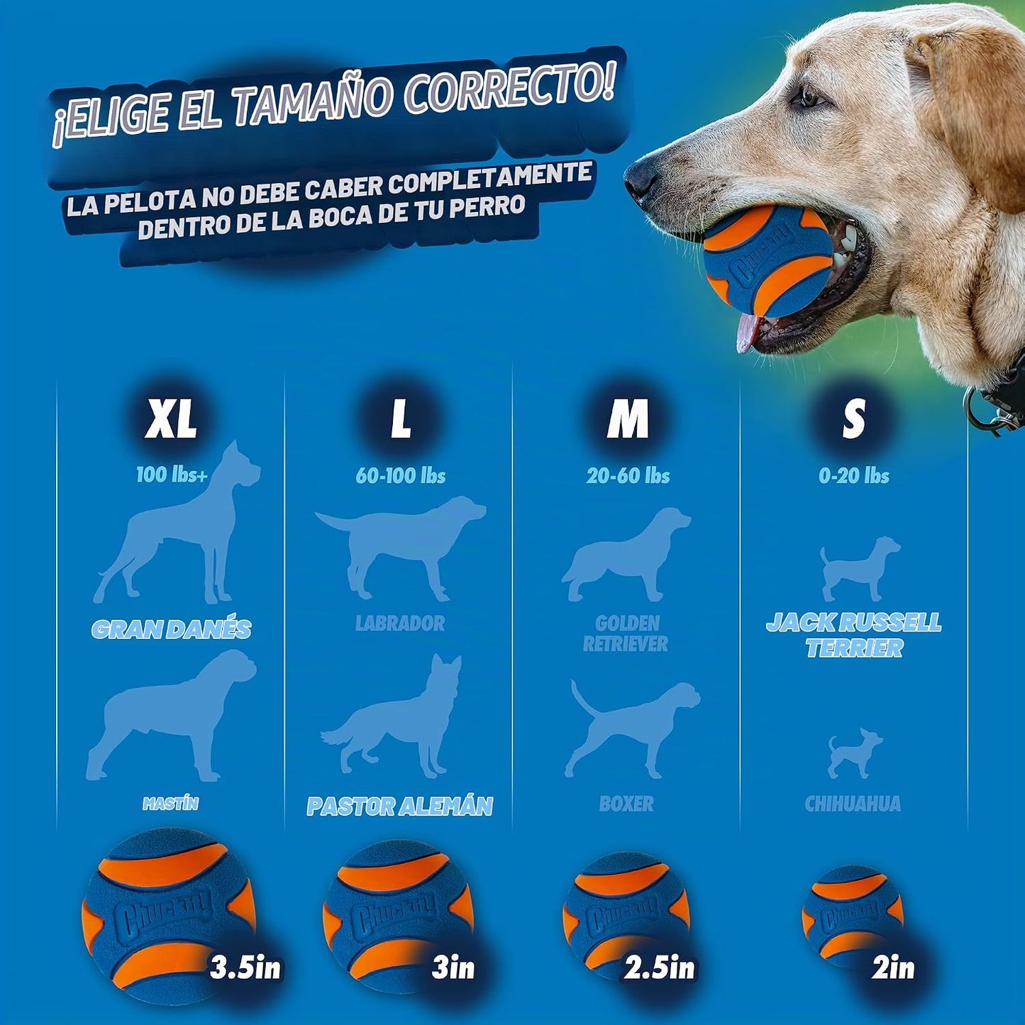 Chuckit! Pelota para perro ultra chirriante, juguete de búsqueda, m...