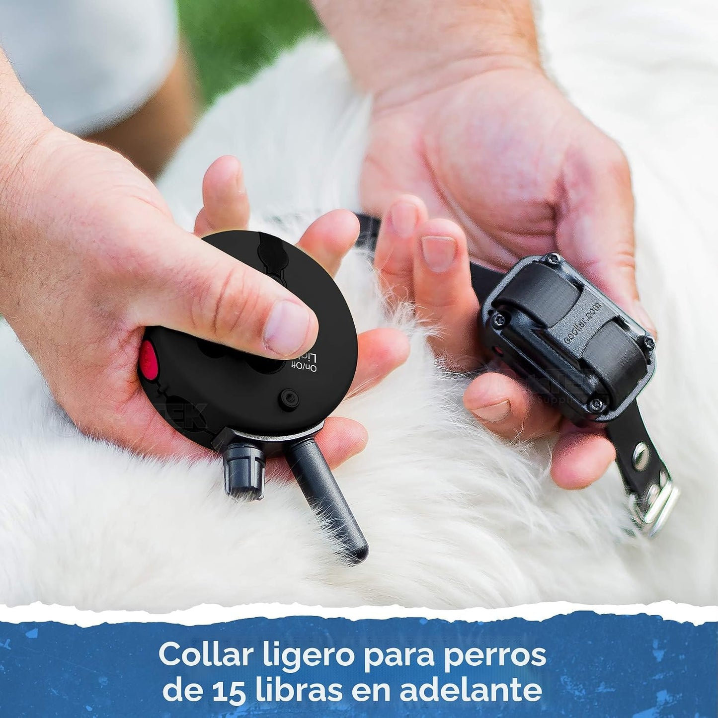 Educator ET-300 Mini Collar E negro para adiestramiento de perros c...