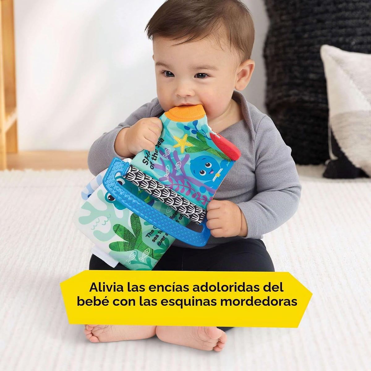 Baby Einstein Ocean Explorers - Libro de mordedores, Shades of the...