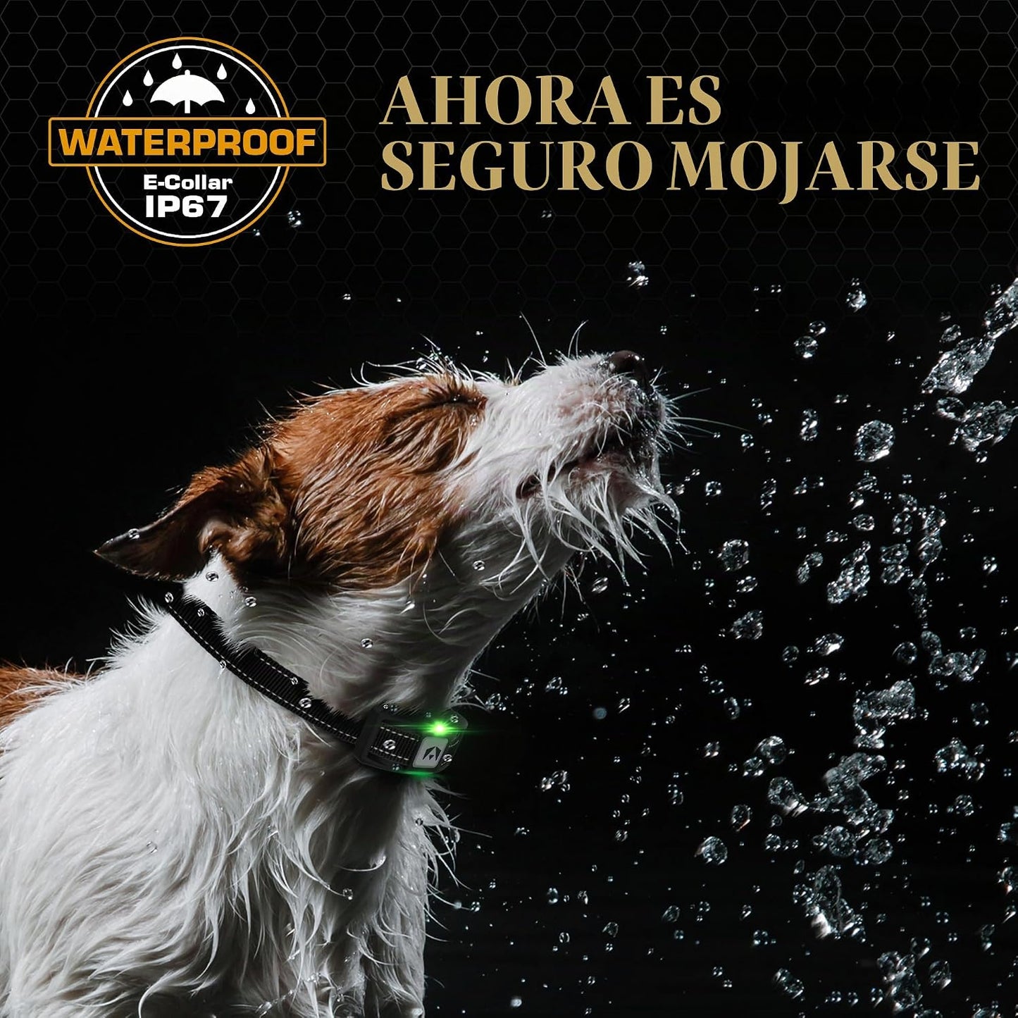 INVIROX - Collar de entrenamiento para perros con control remoto, c...