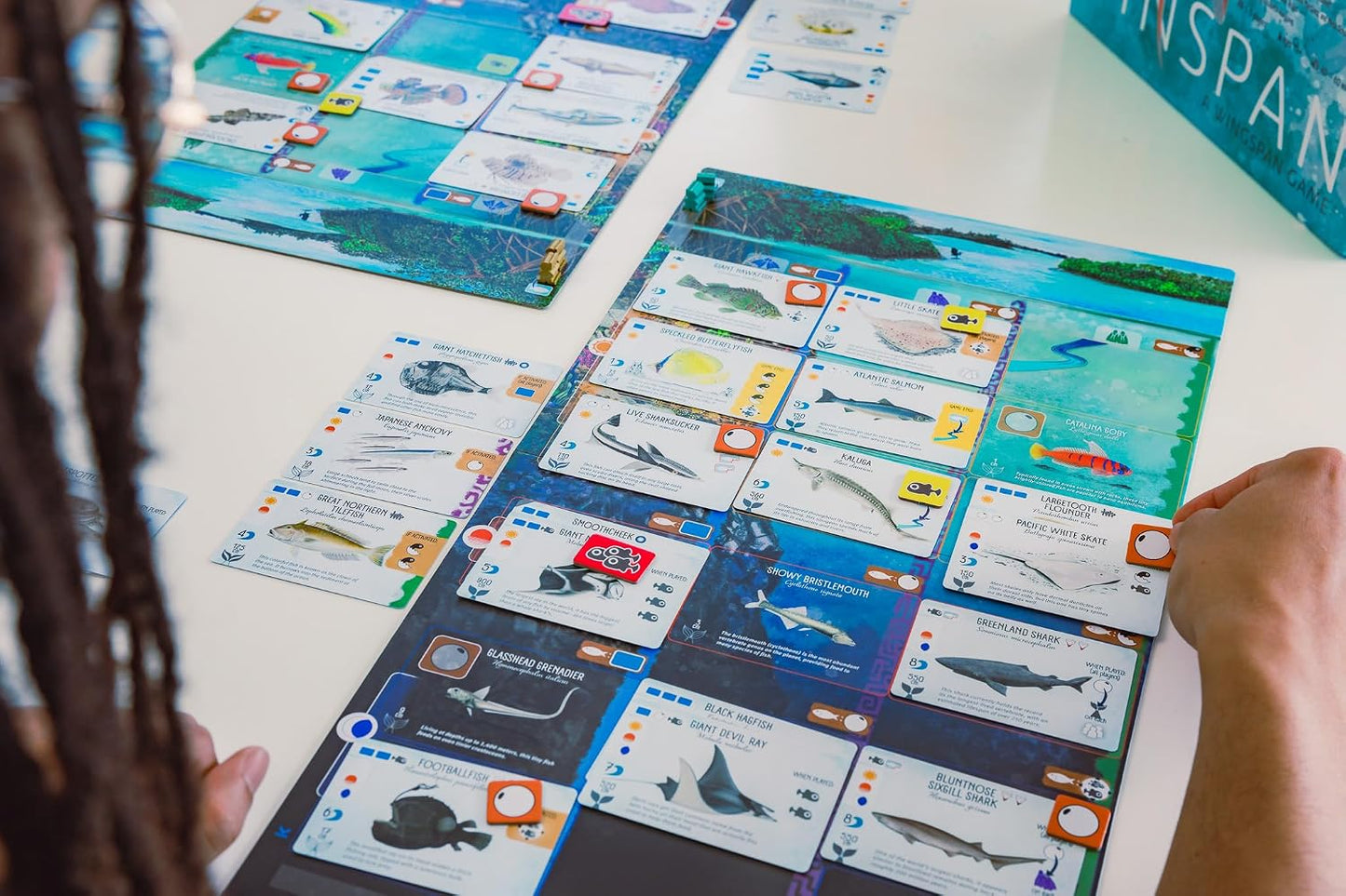 Stonemaier Games: Finspan - Un juego de Wingspan de David Gordon y...