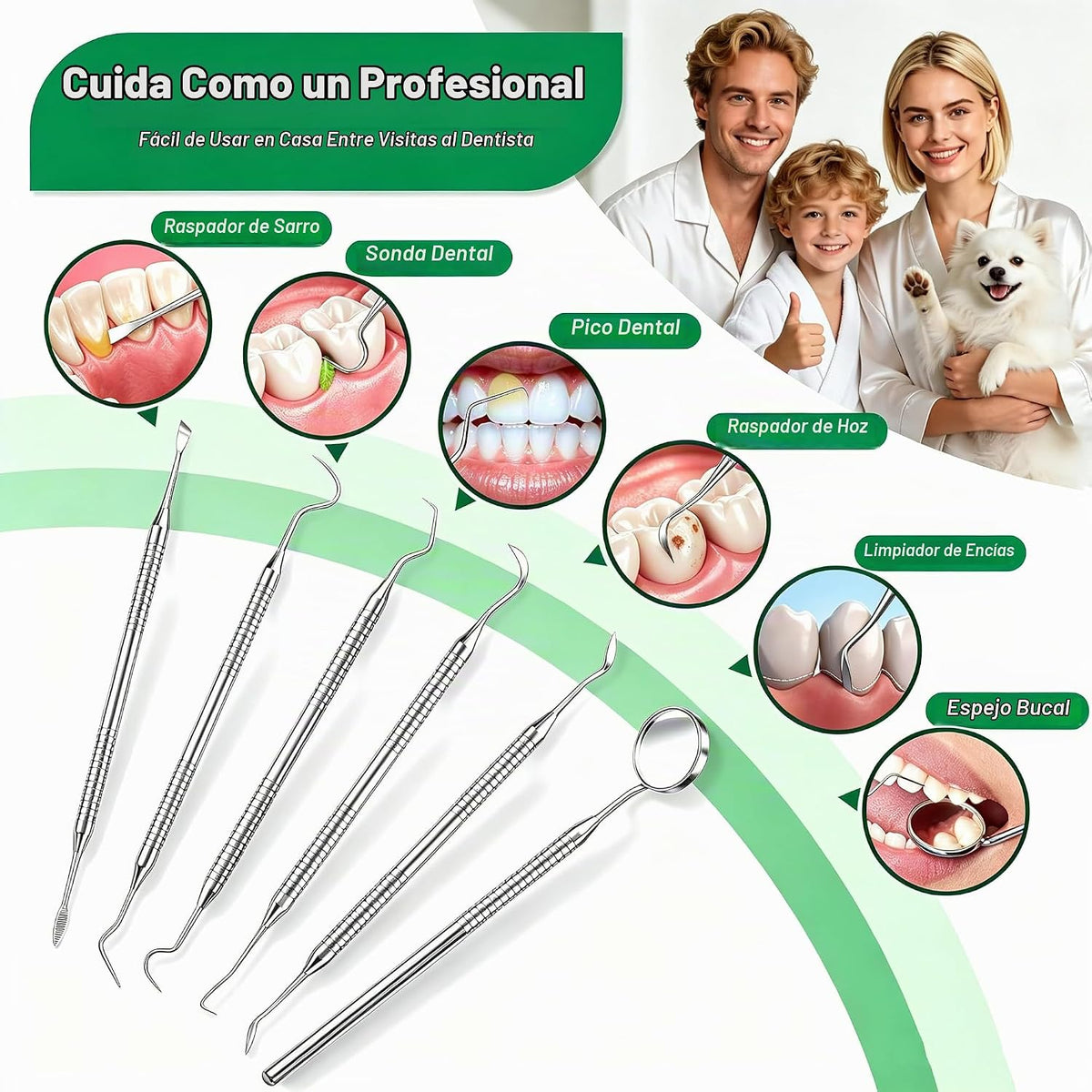 CATACC PRO Herramientas dentales, palillo dental para limpieza de d...