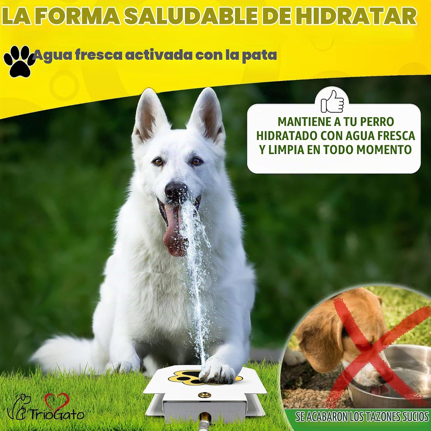 Trio Gato Fuente de agua para perros al aire libre, con patas de as...