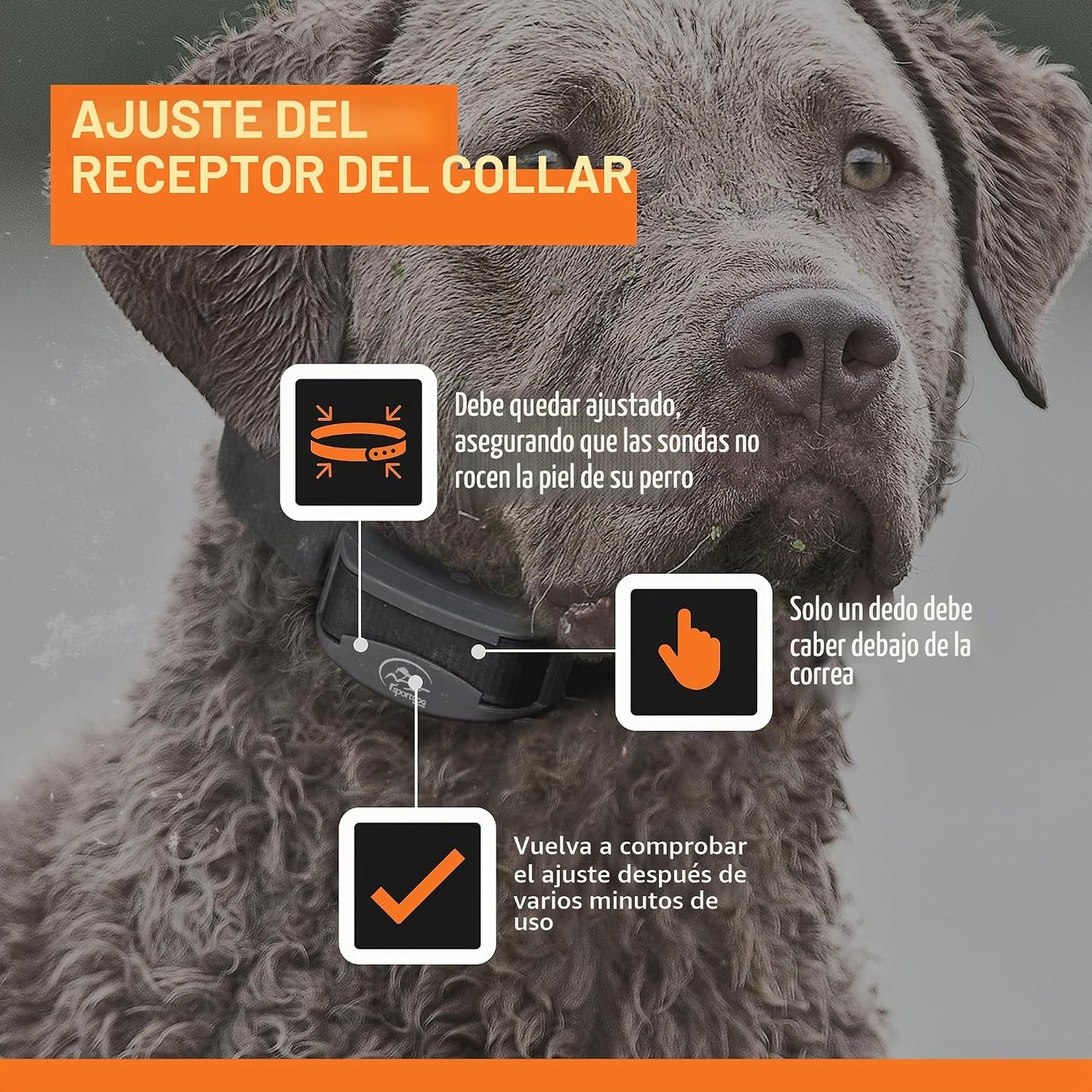 Collar SportDOG Brand NoBark 10, collares para ladridos de perro, r...