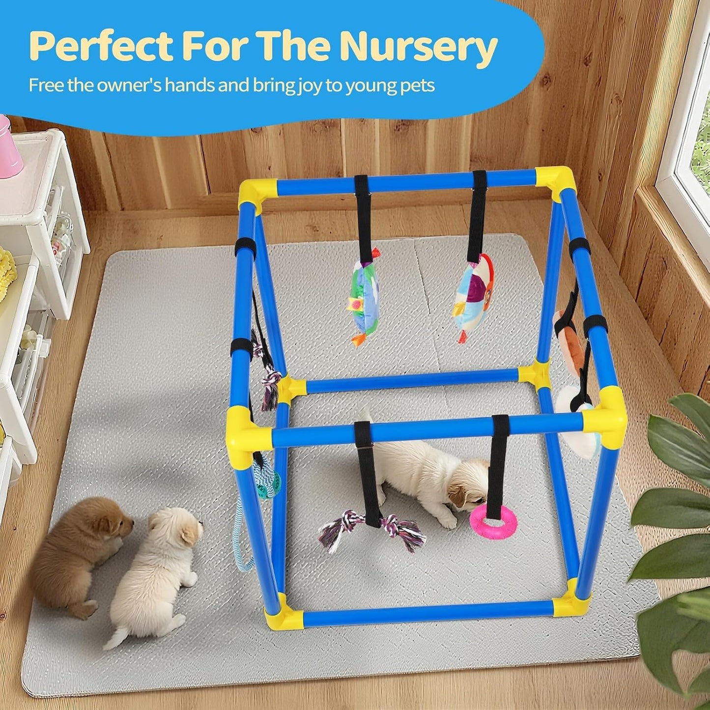 Liitrton - Gimnasio de juego para cachorros para perros pequeños co...