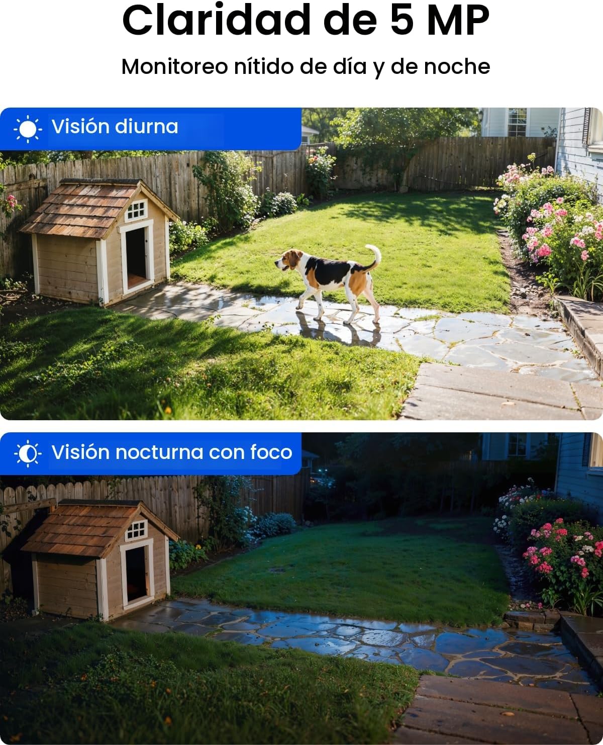 REOLINK 360° PT - Cámaras de seguridad solares inalámbricas para ex...